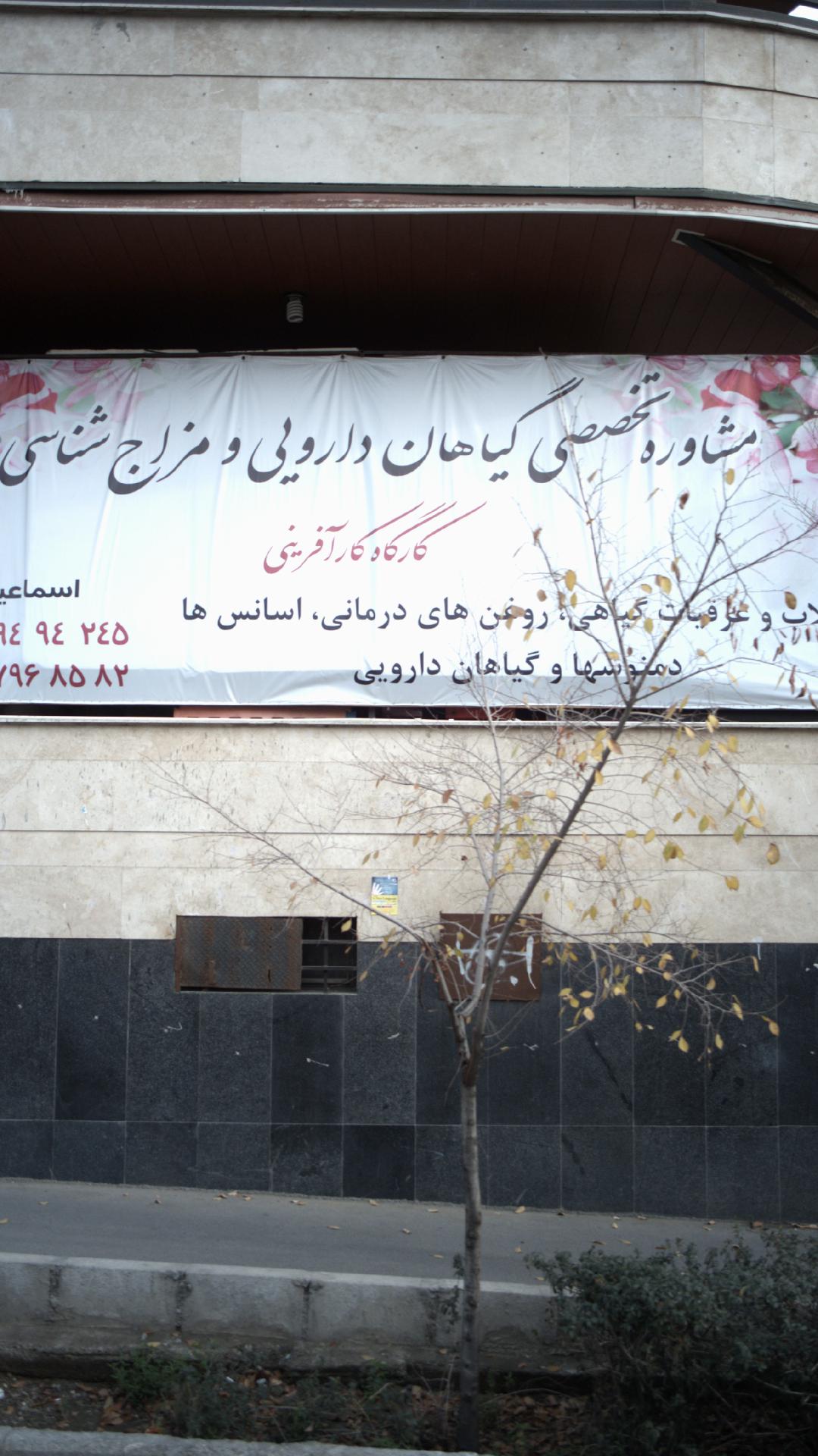 مشاور تخصصی گیاهان دارویی ومزاج شناسی