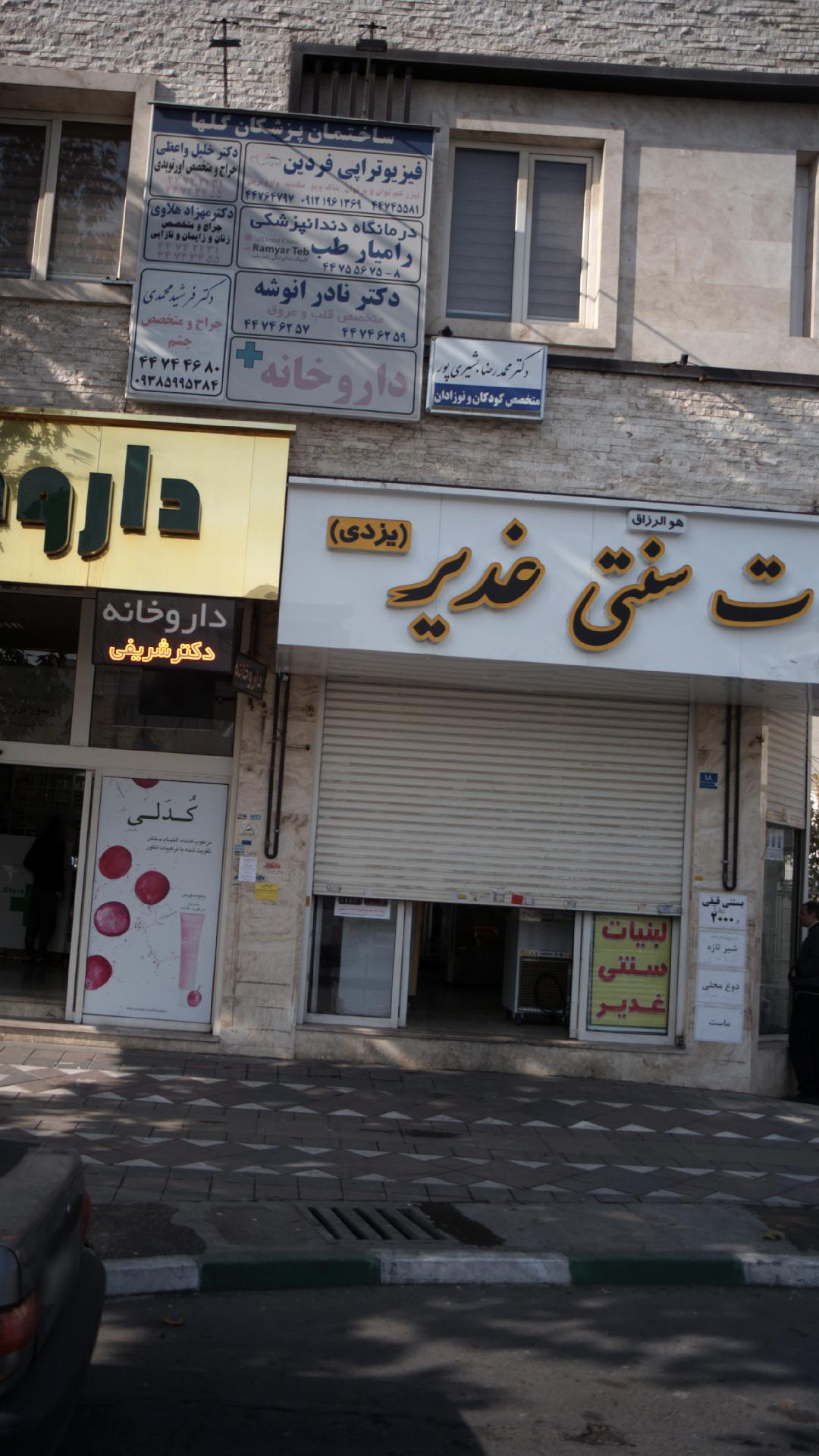 دکتر محمدرضا بشیری پور