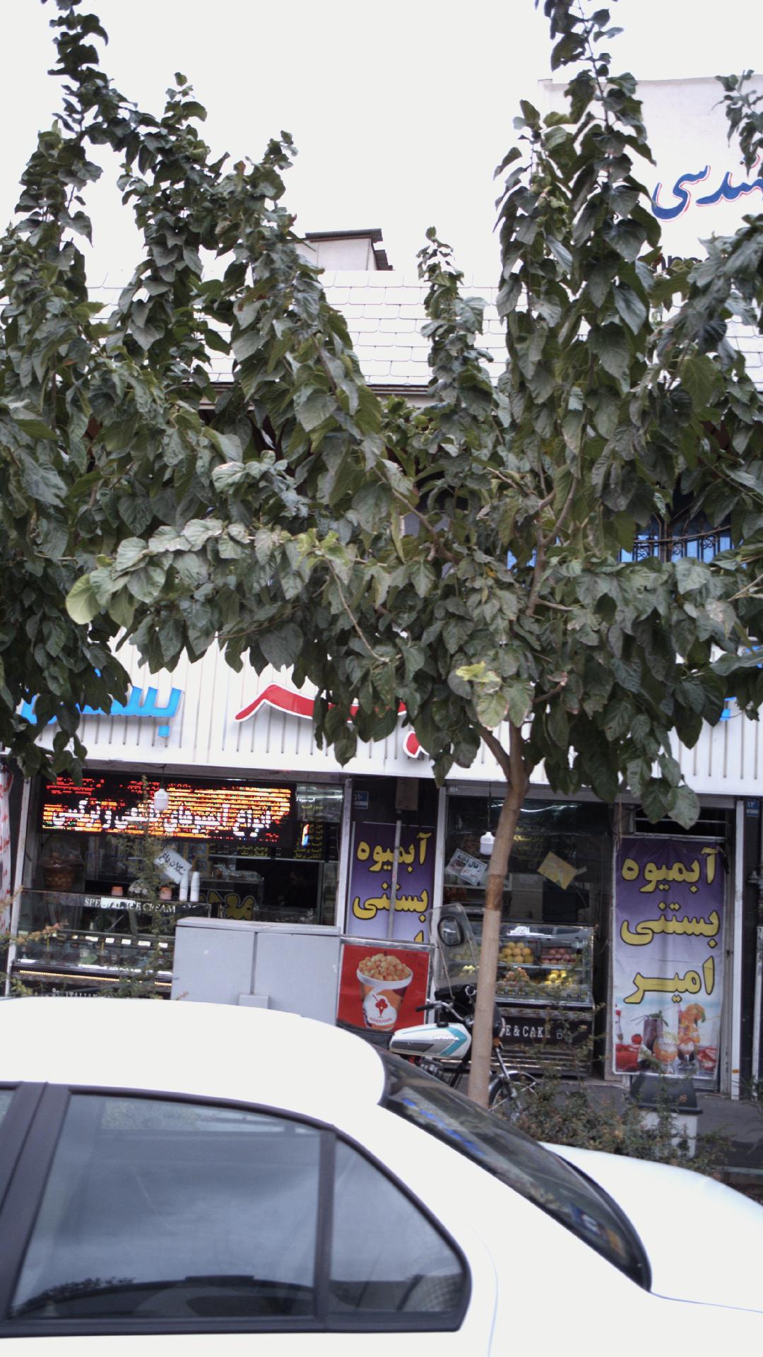آبمیوه بستنی نفیس