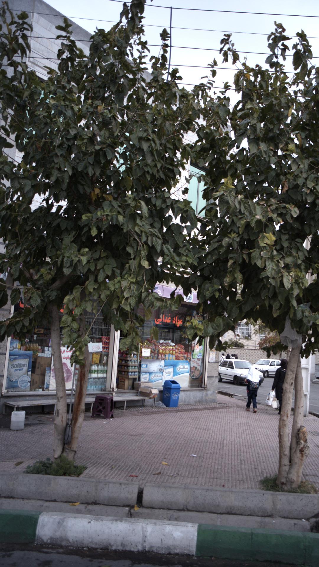 مواد غذایی فرجی
