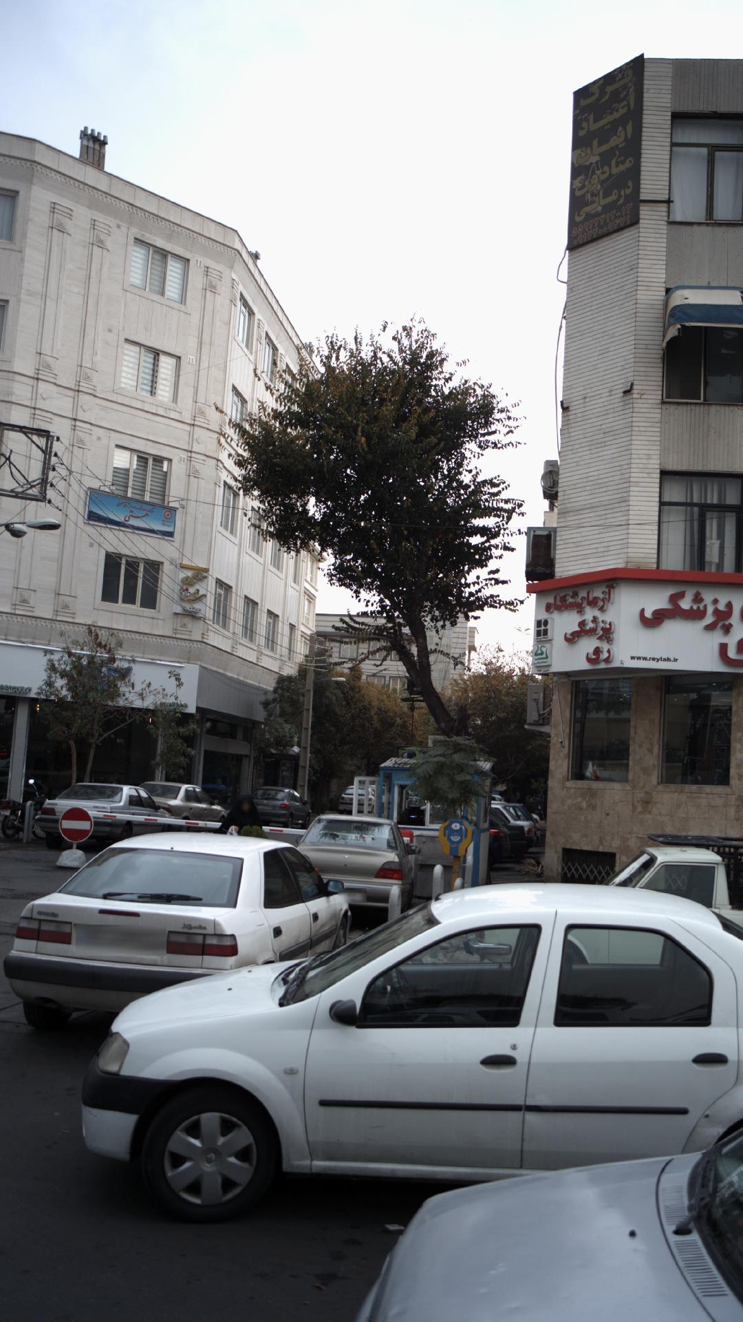 مرکز خدمات مشاوره و روانشناسی عمومی هستی
