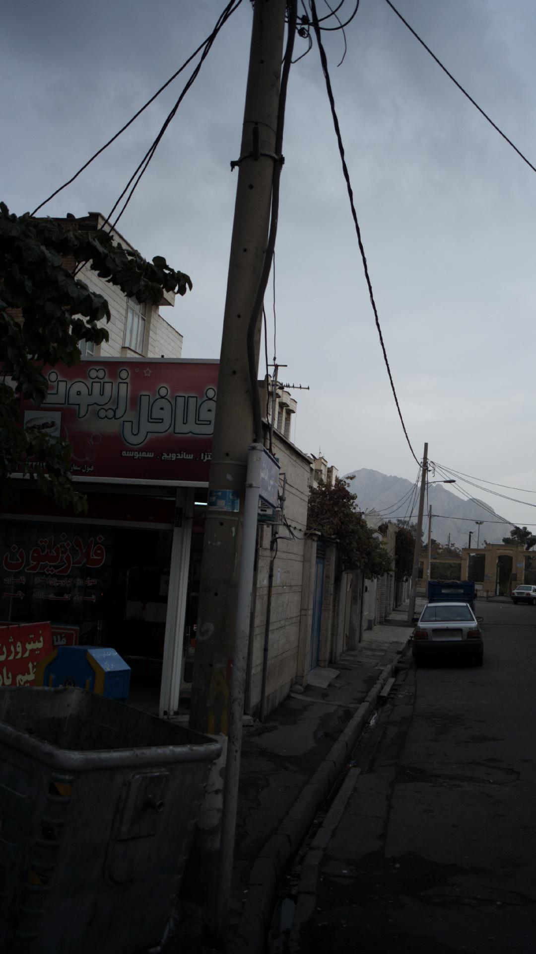 فلافل زیتون