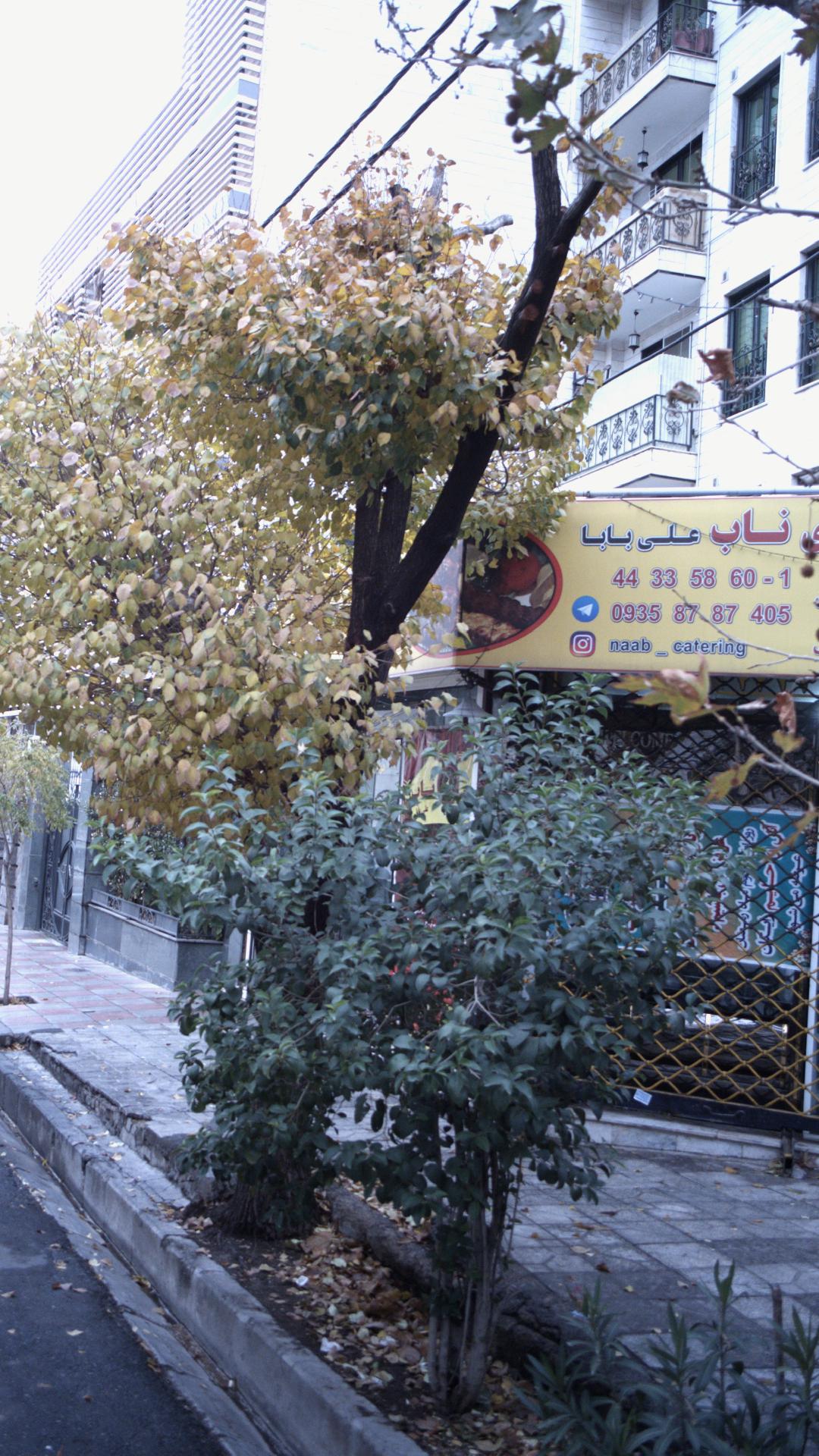 کترینگ ناب