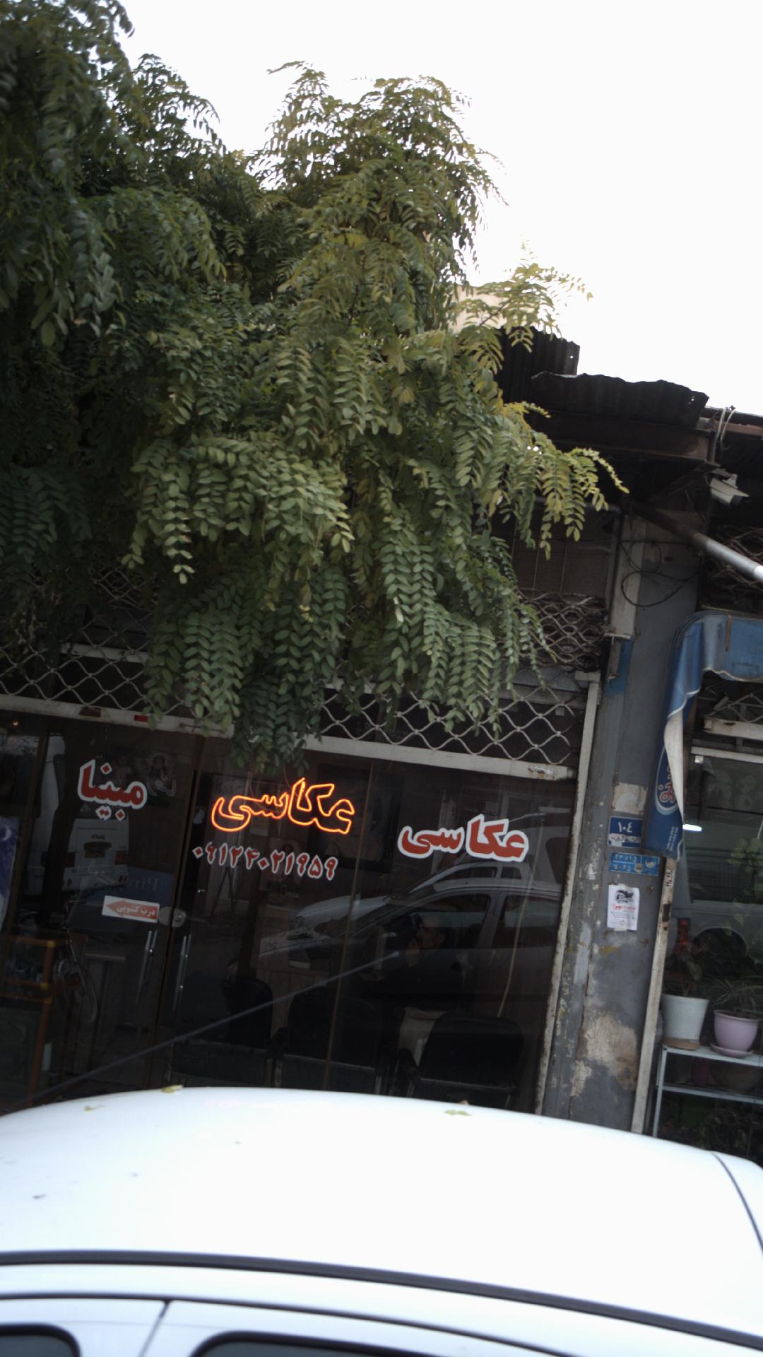 عکاسی مبیا