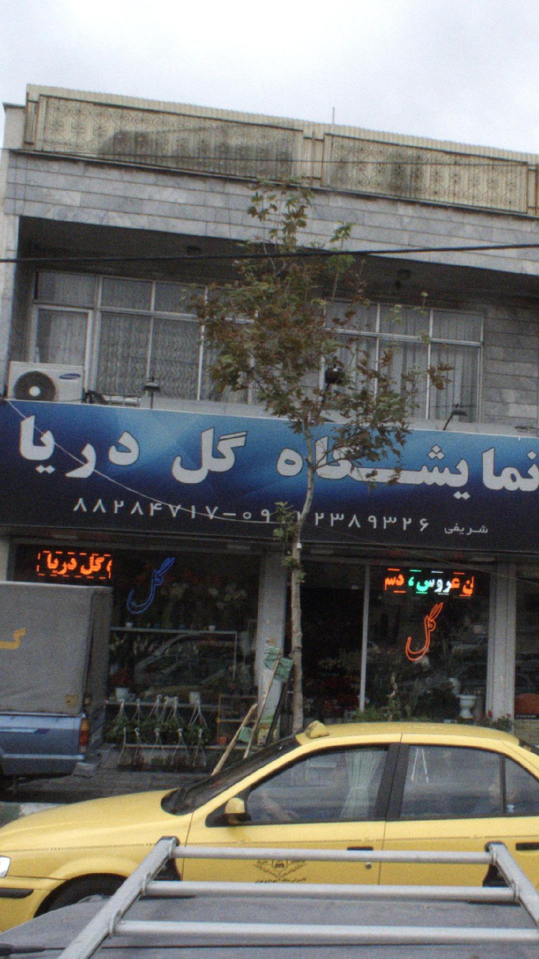 نمایشگاه گل دریا