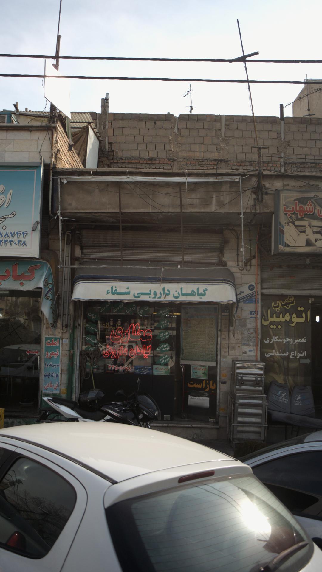 گیاهان دارویی شفا