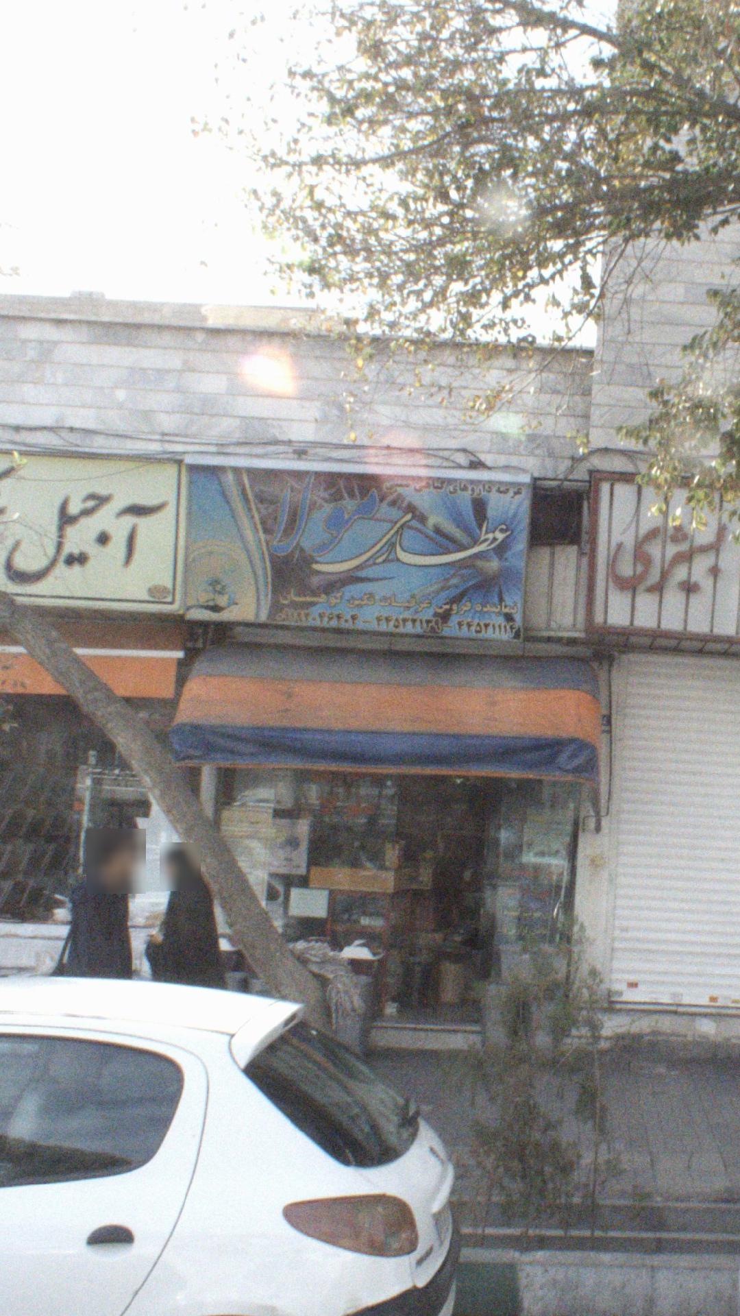 عطاری مولا