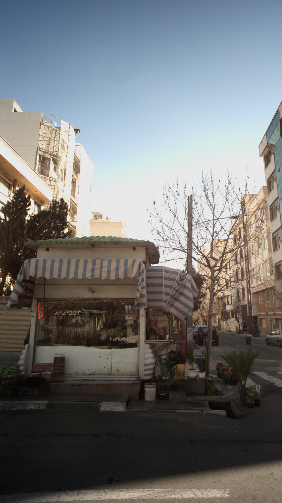 گلفروشی
