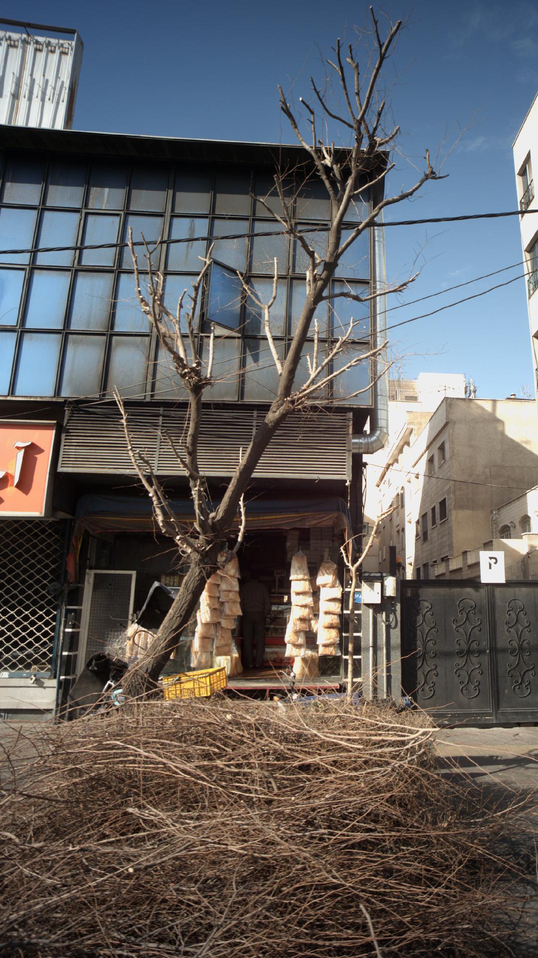 نان فانتزی