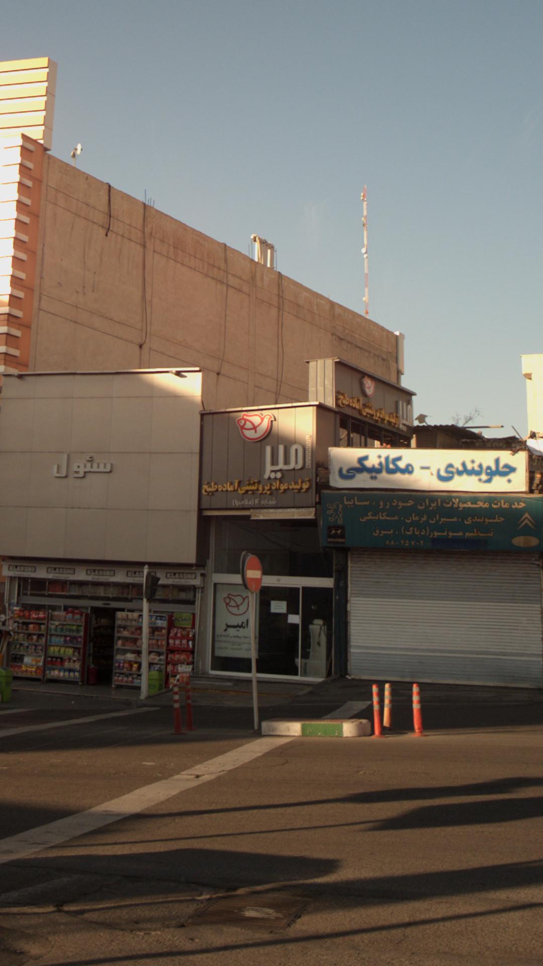 تولید مواد پروتئینی آماده طبخ امیر
