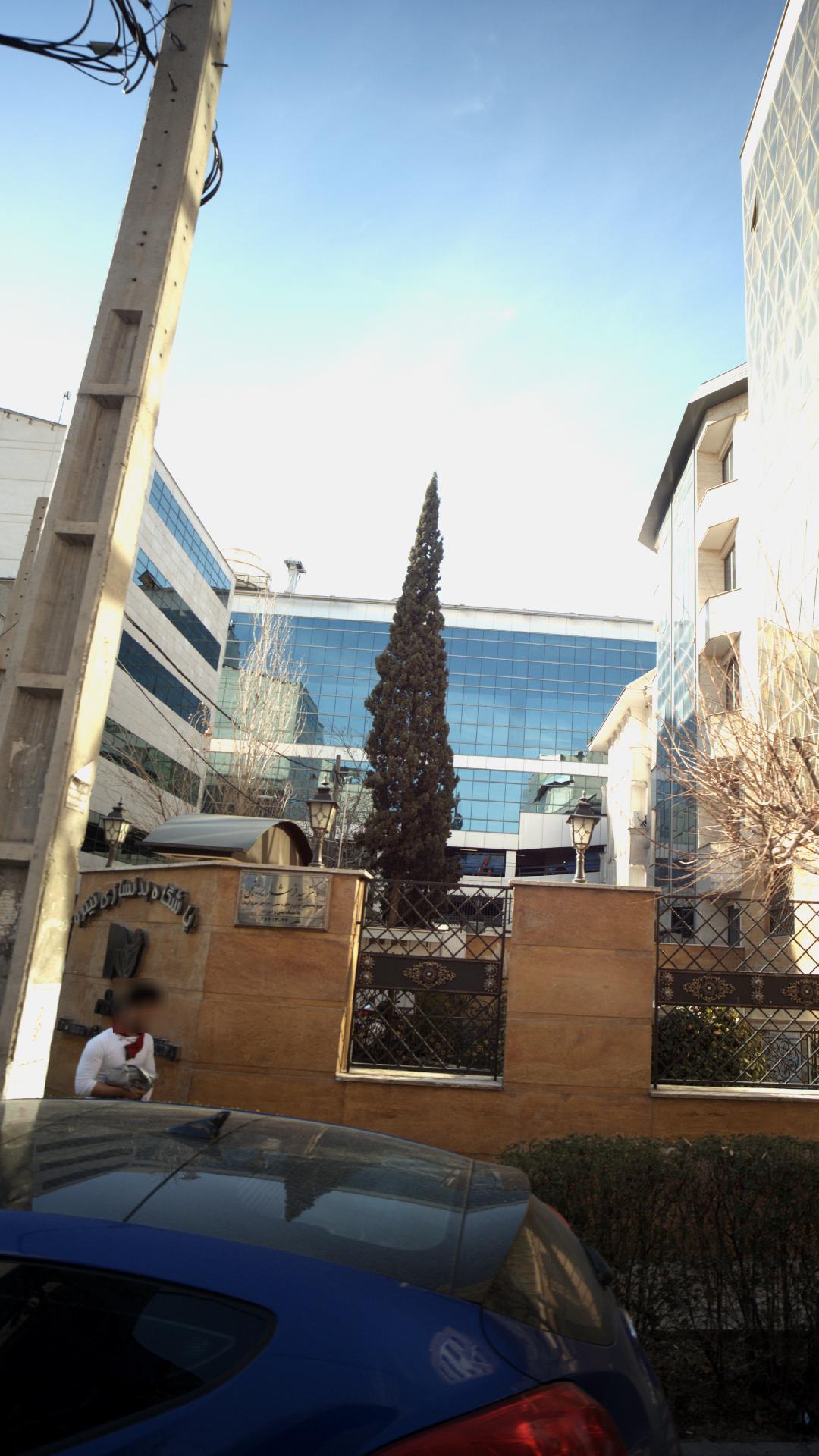 دکتر سید فرشاد برزنجی