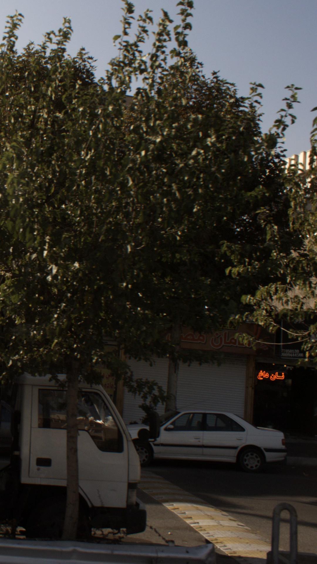 اغذیه