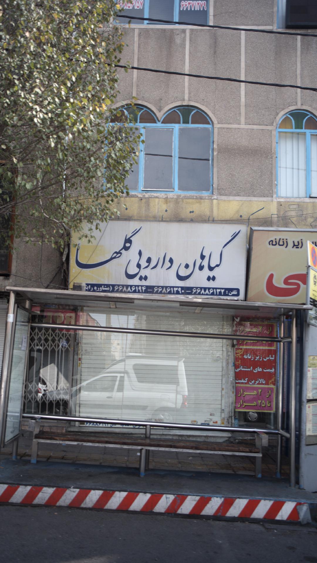 گیاهان دارویی گلها