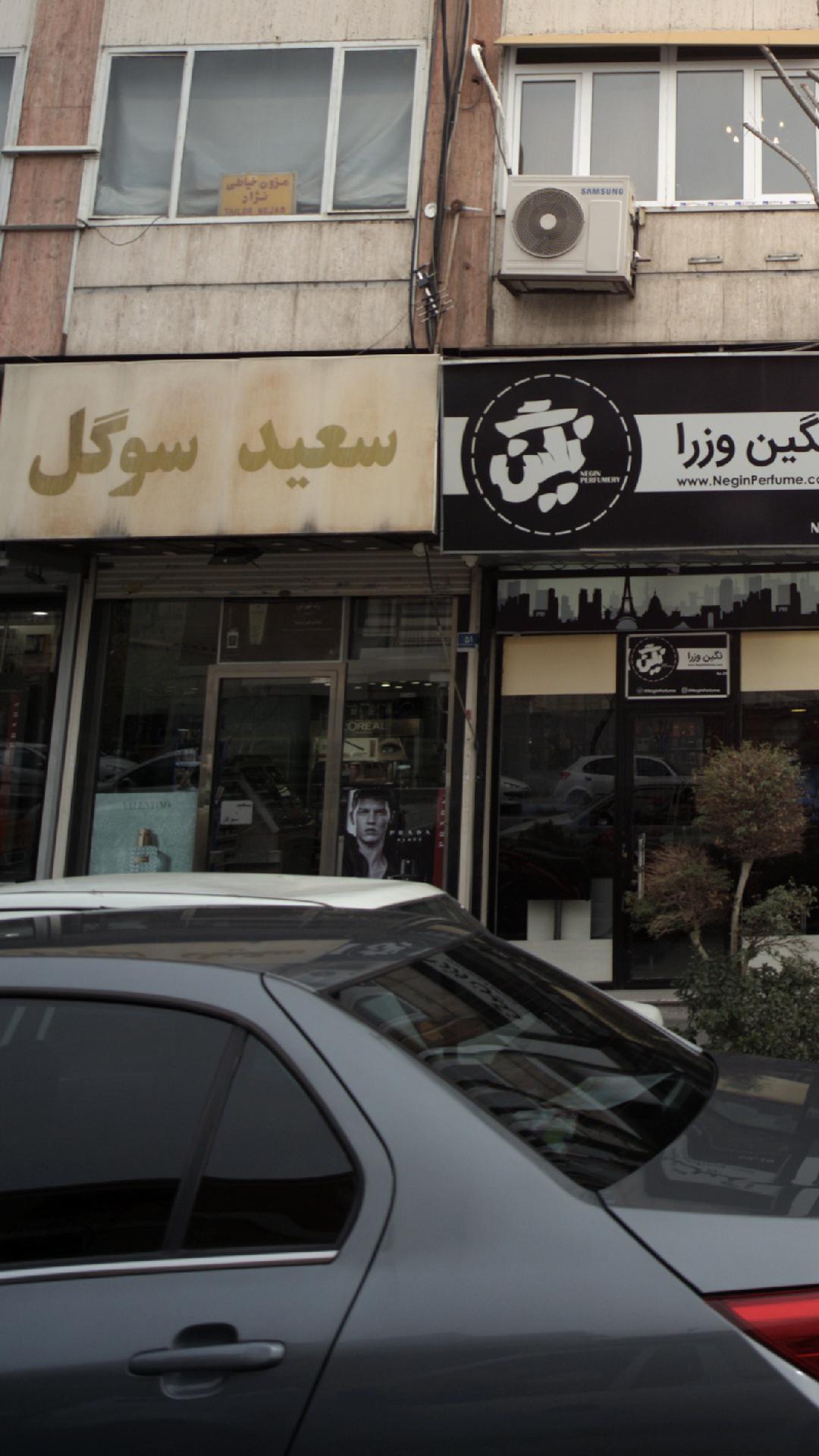 سعید سوگل