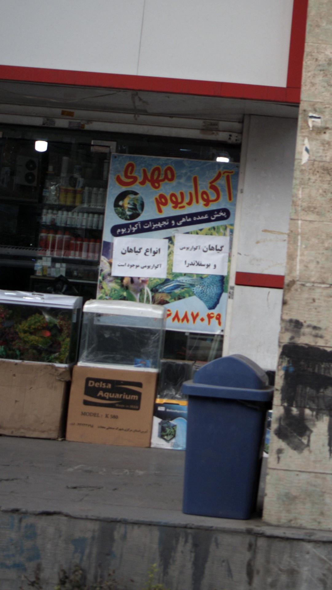 اکواریوم مهدی