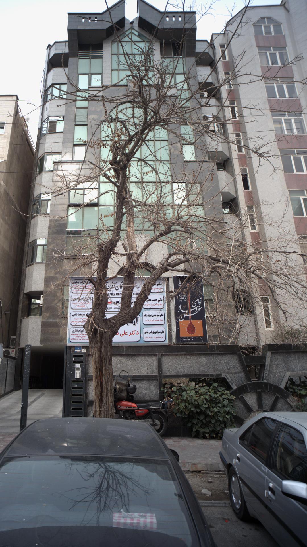دکتر سید مهدی شریف زاده