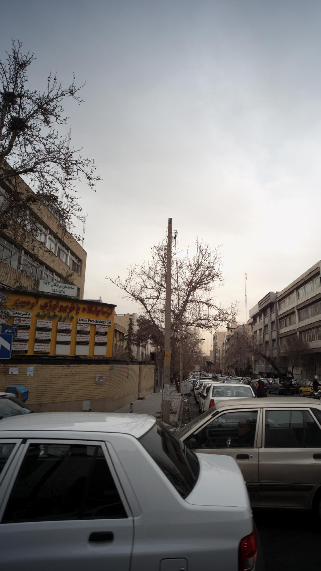 دکتر گیتی جلوخانی