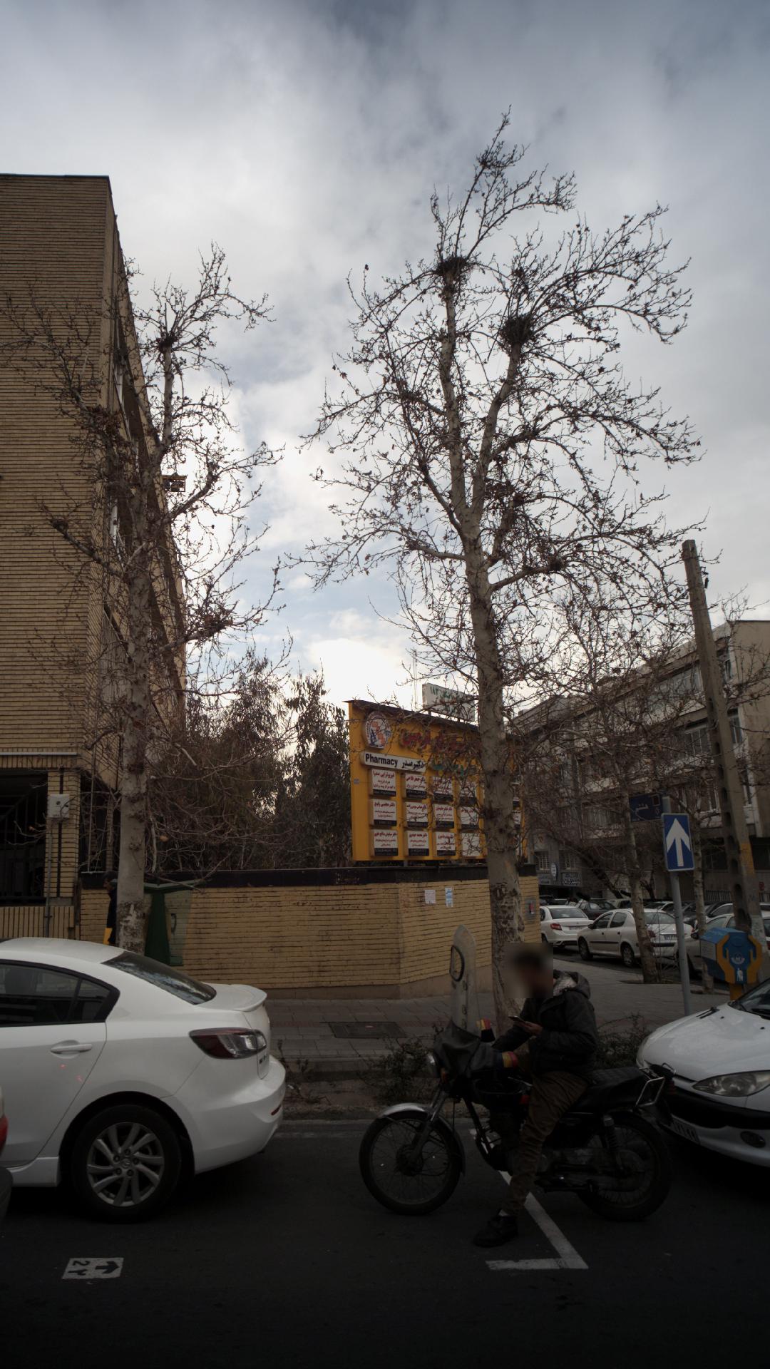 دکتر سیاوش صالح علوی