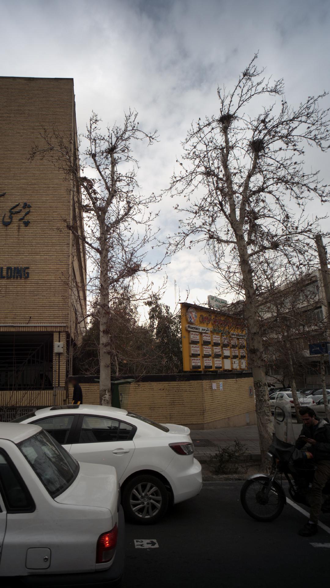 دکتر مجتبی رفیع