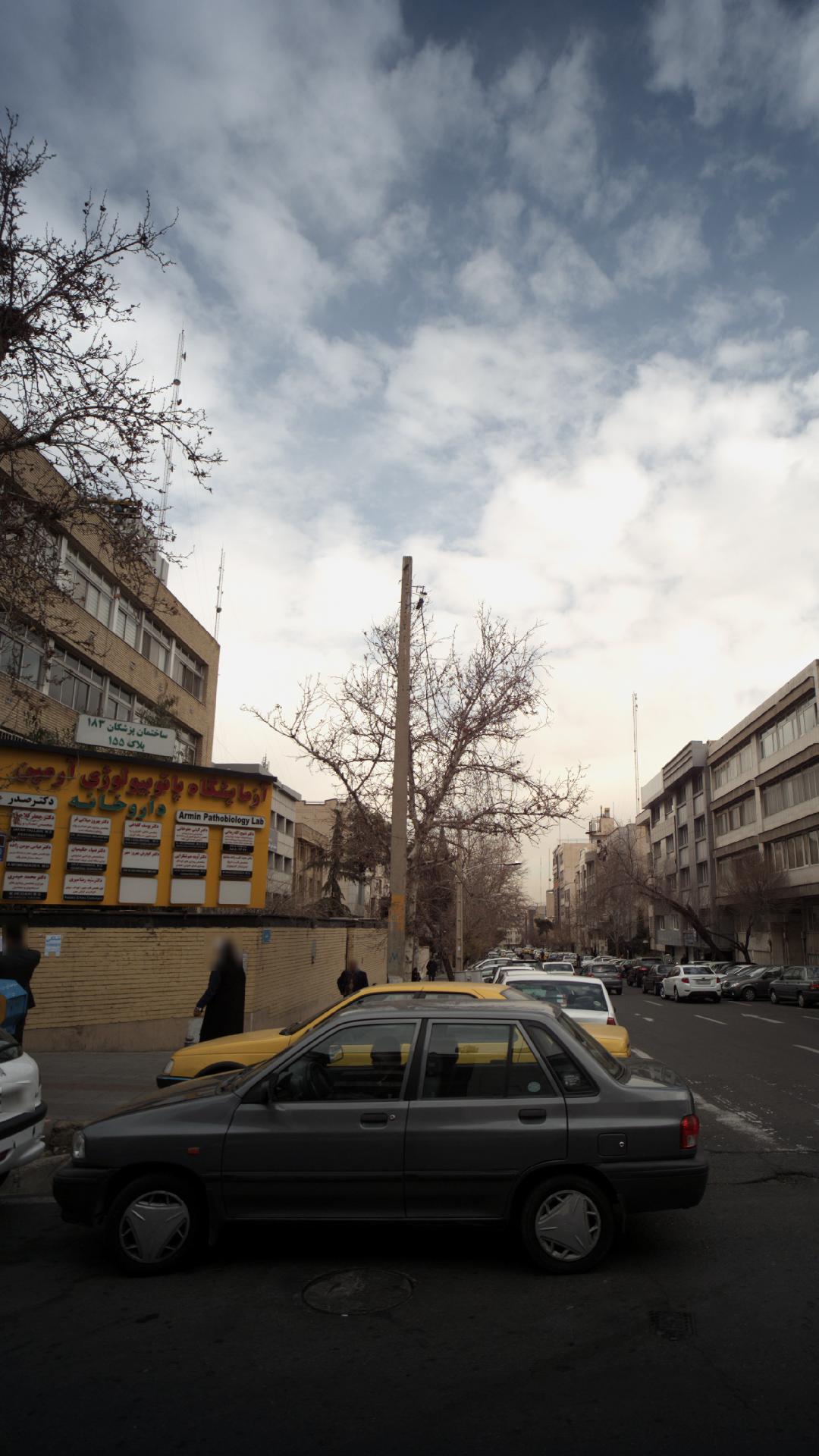 دکتر ضیا حکیمیان