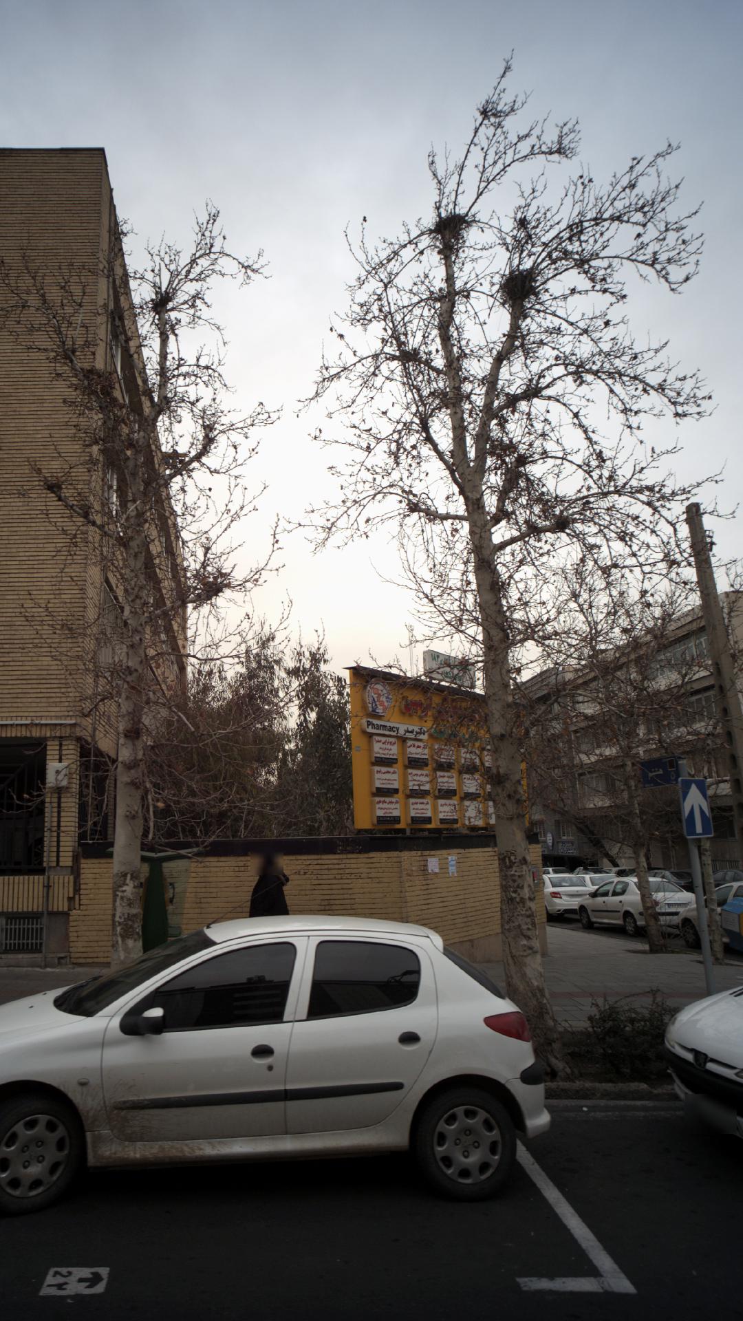 دکتر عباس مومن زاده