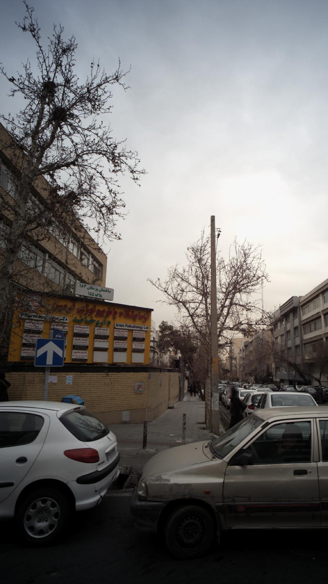 دکتر آوید میر شکرایی
