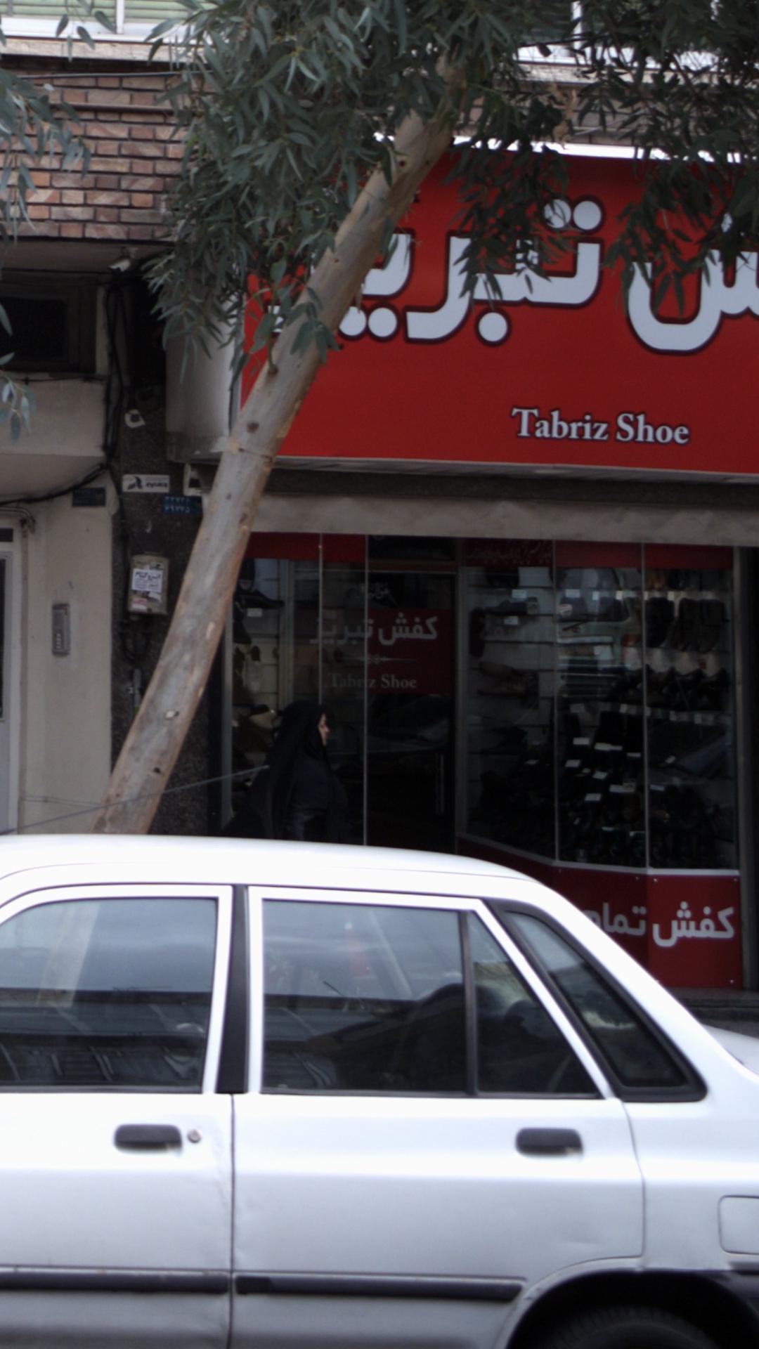 کفش تبریز
