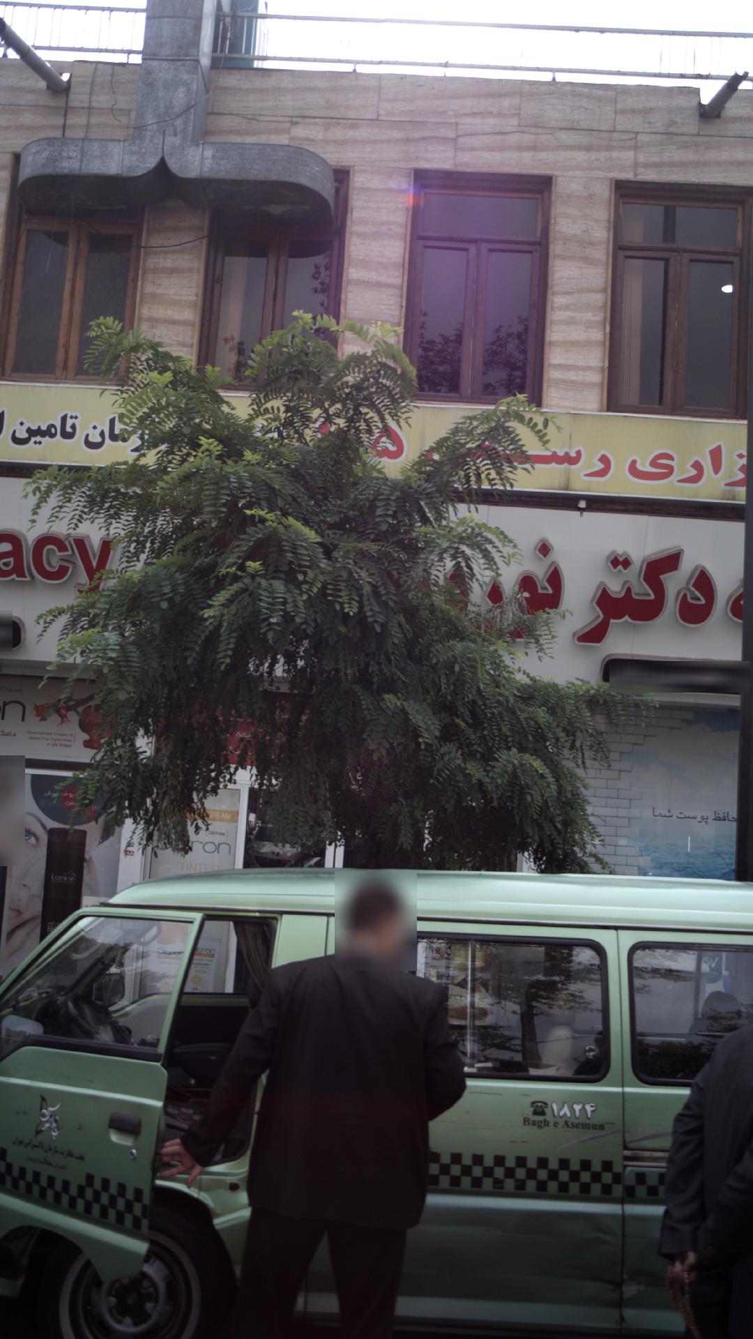 کارگذاری رسمی