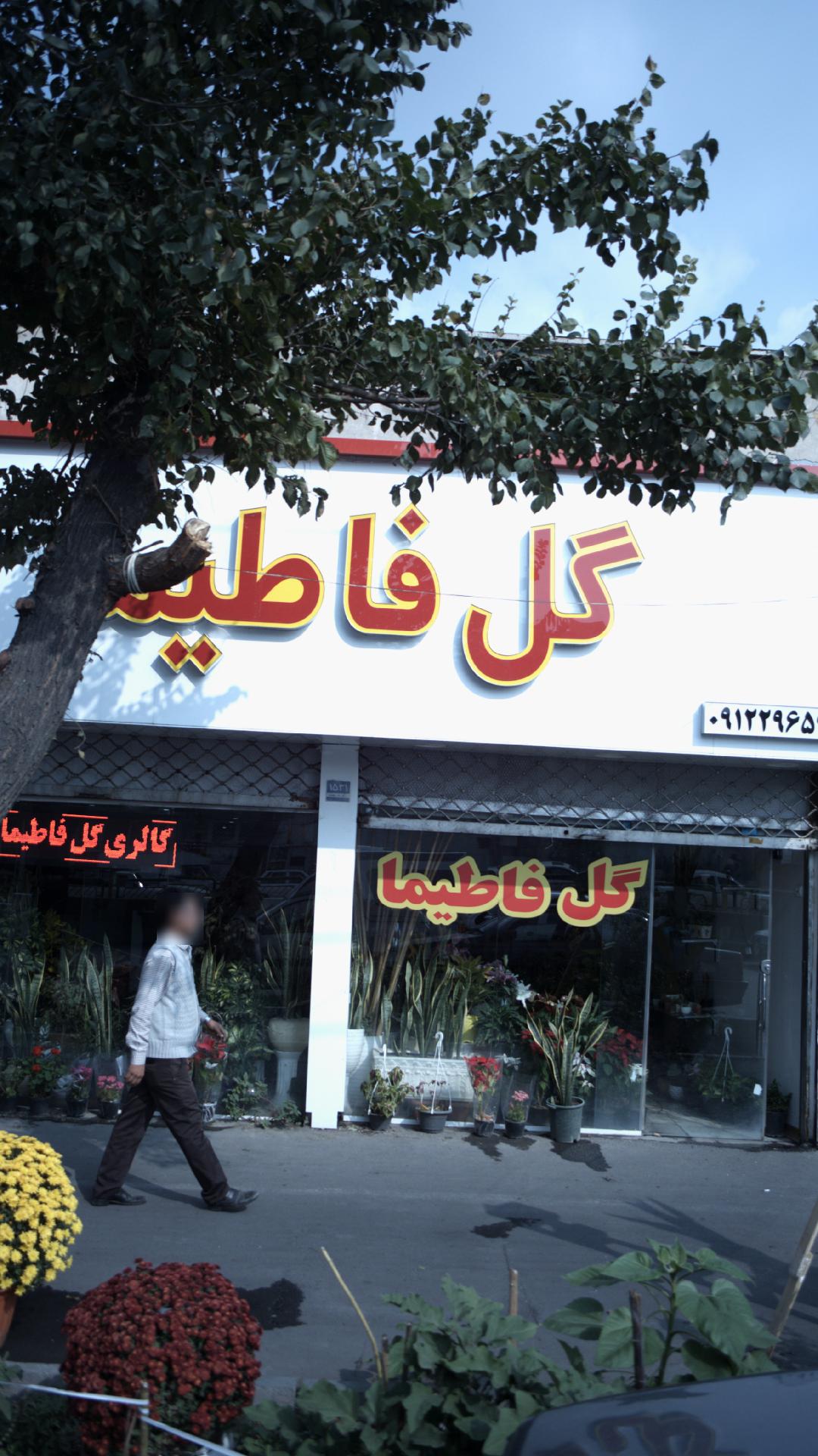 گل فاطیما