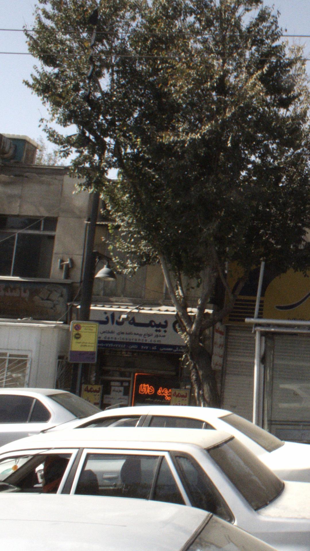 بیمه دانا