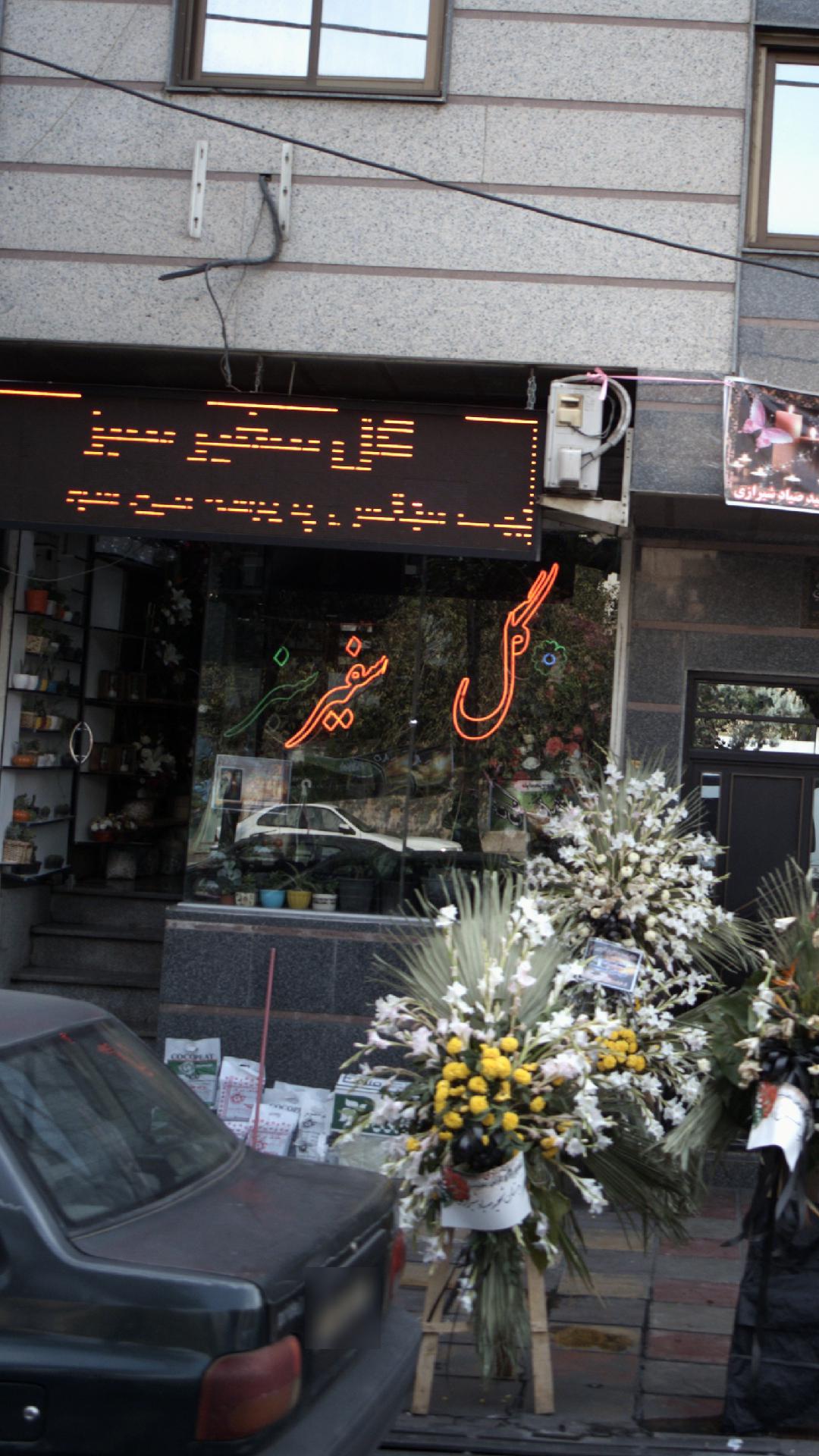 گل سفیر سبز