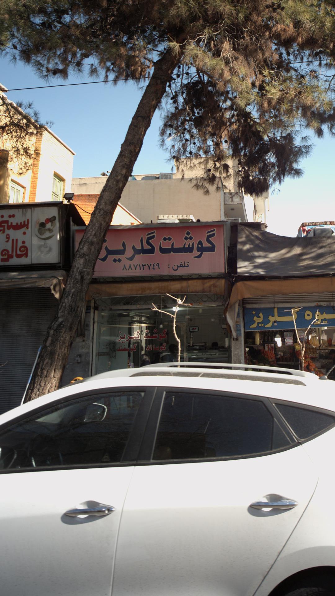گوشت گلریز