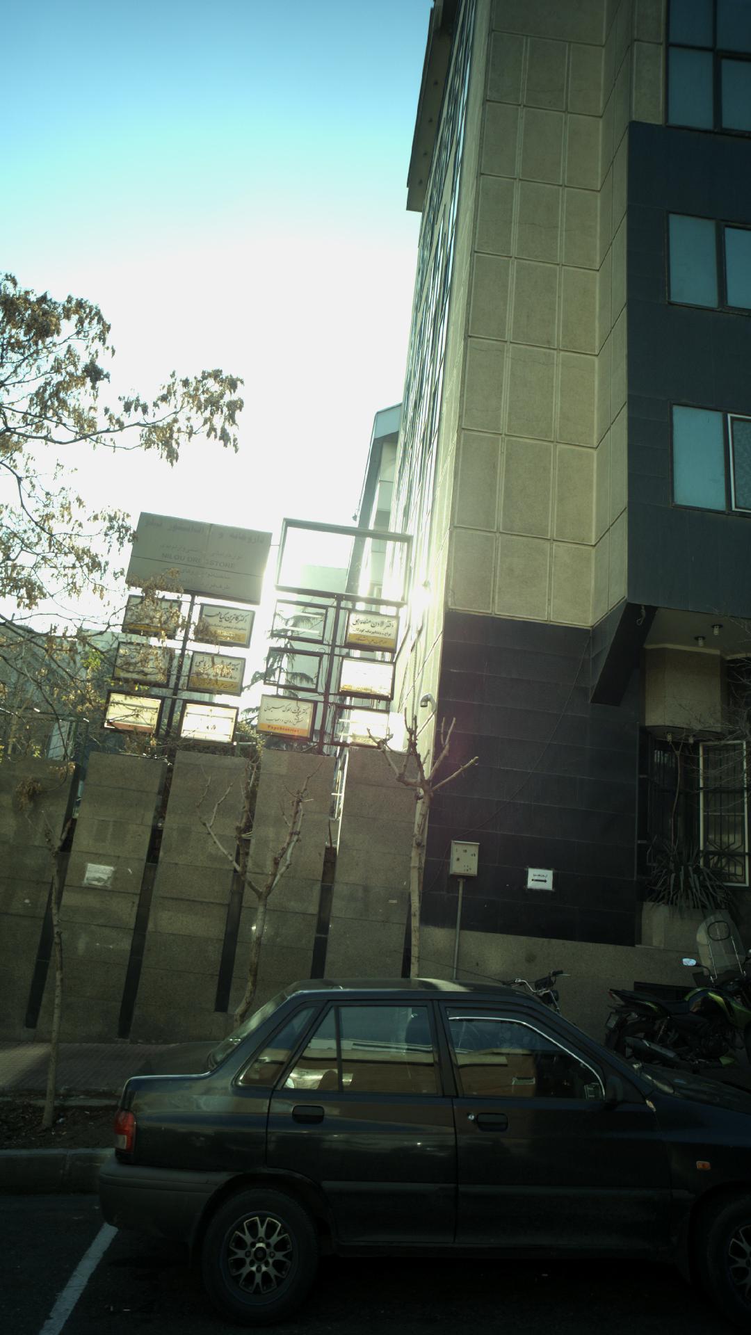 دکتر لادن منصوری