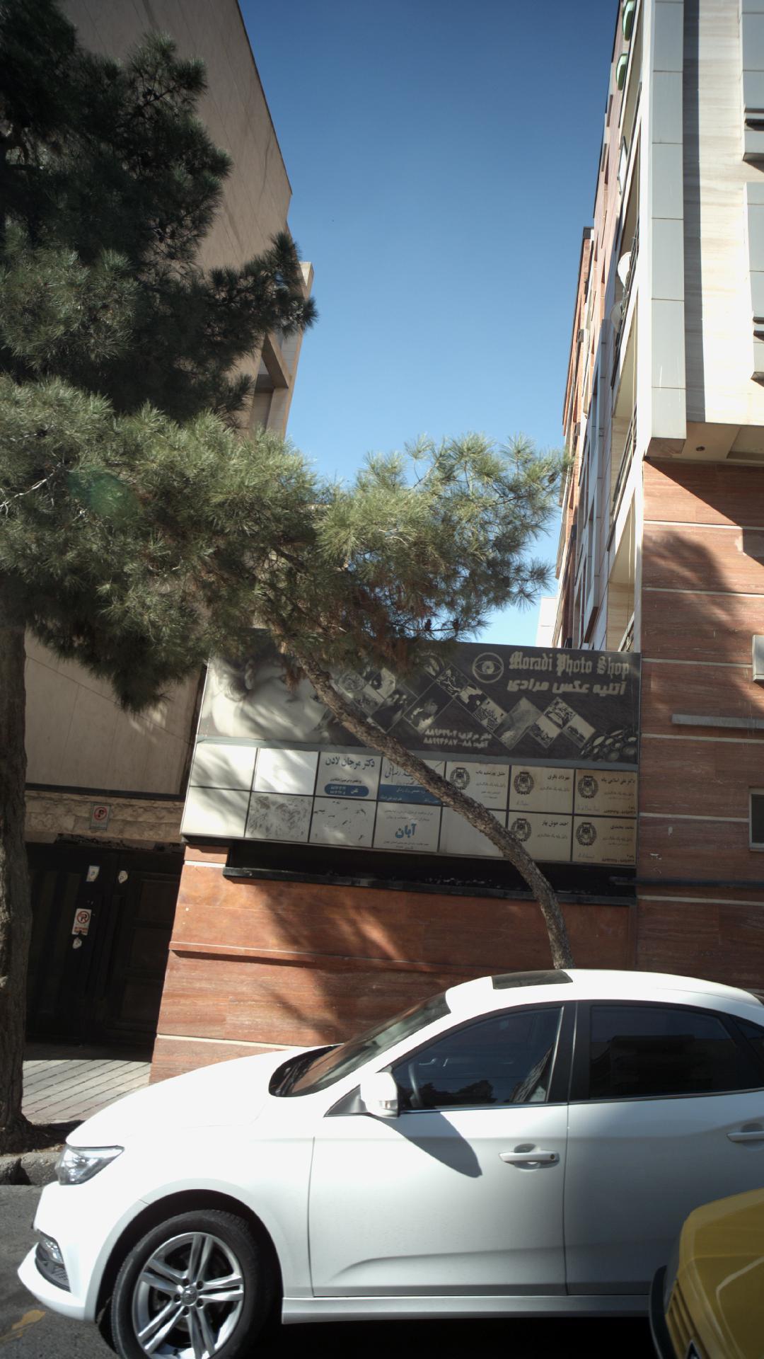 دکتر مرجان لادن