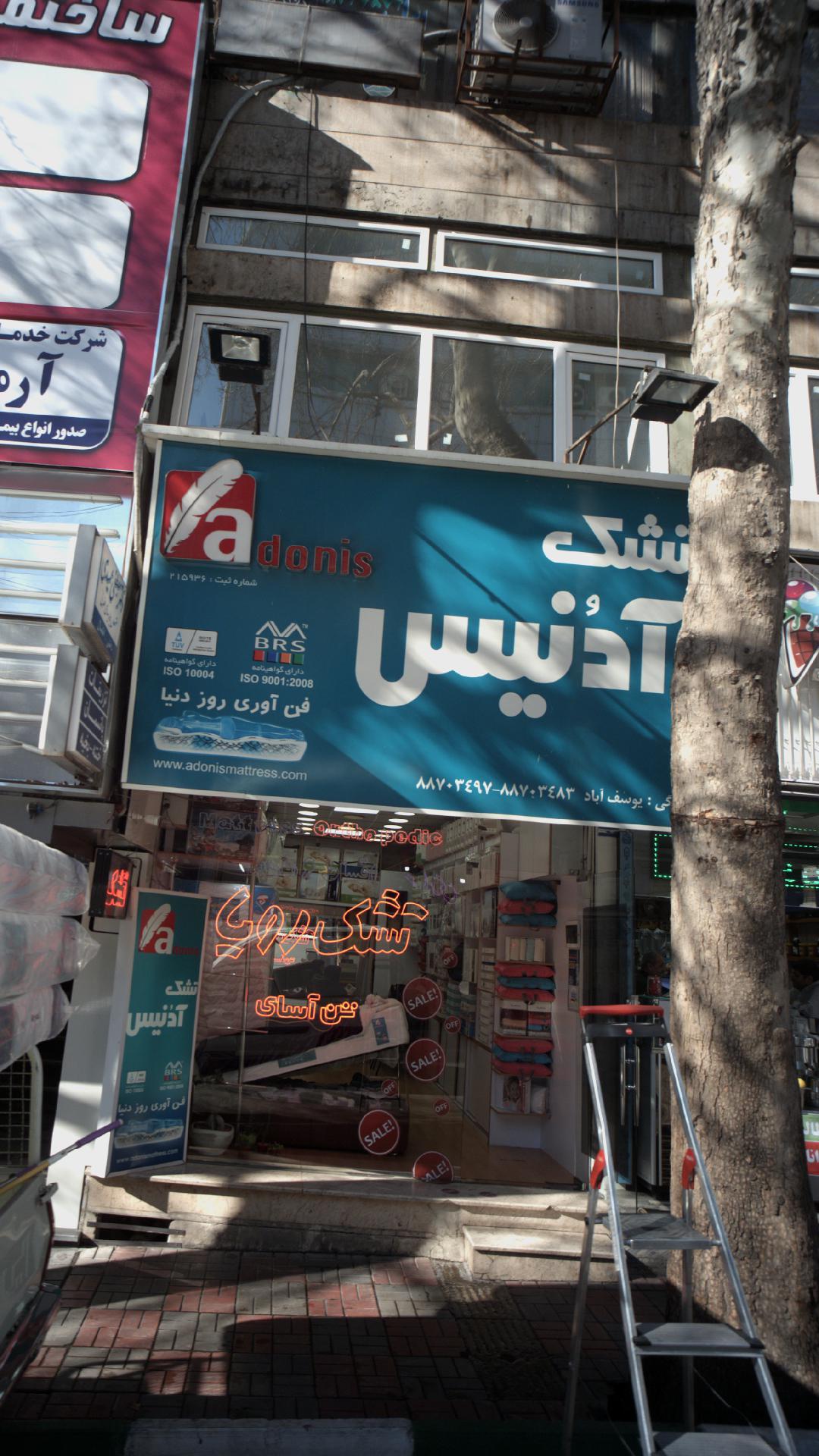 تشک ادنیس