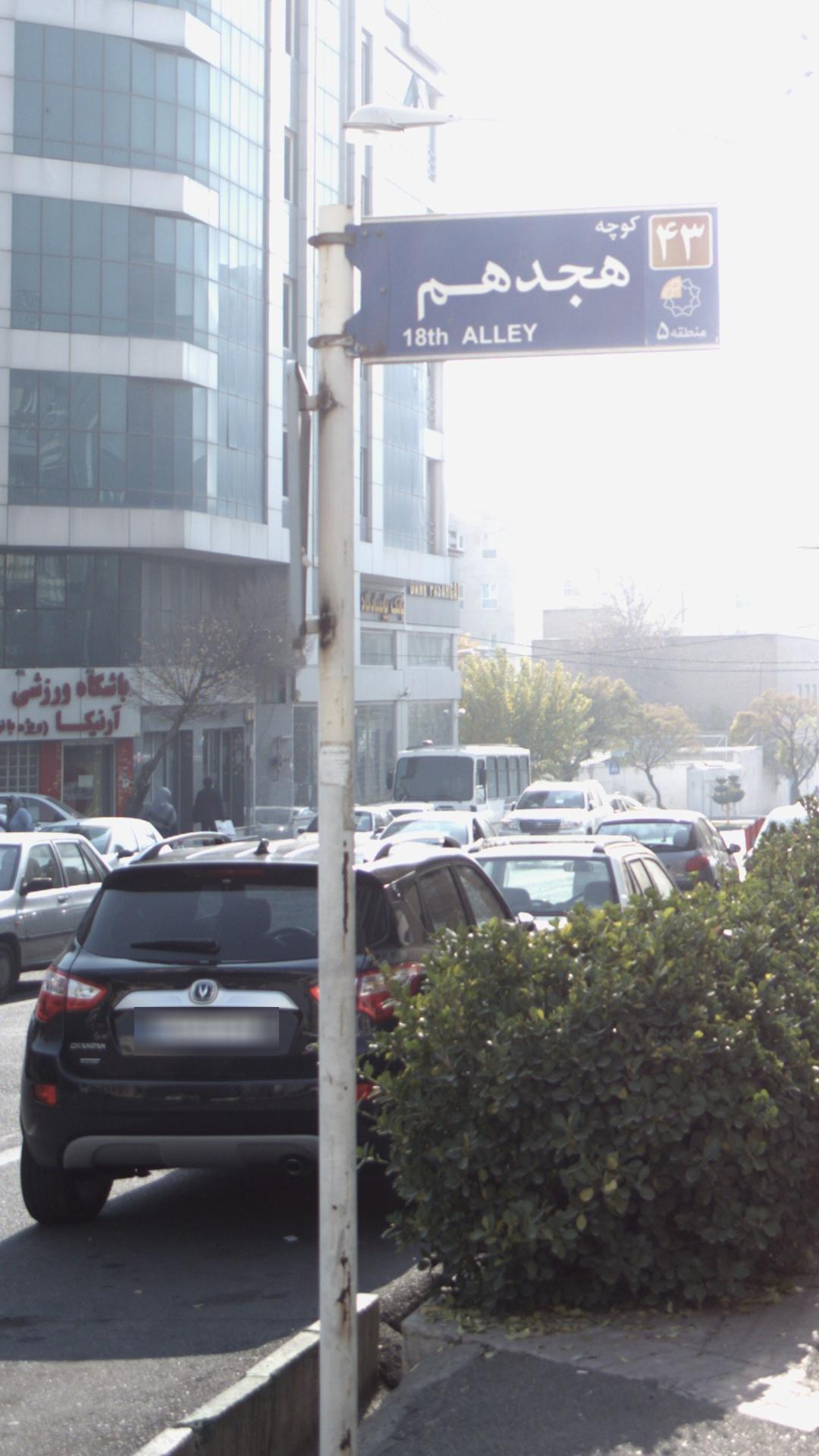 باشگاه ورزشی آرنیکا