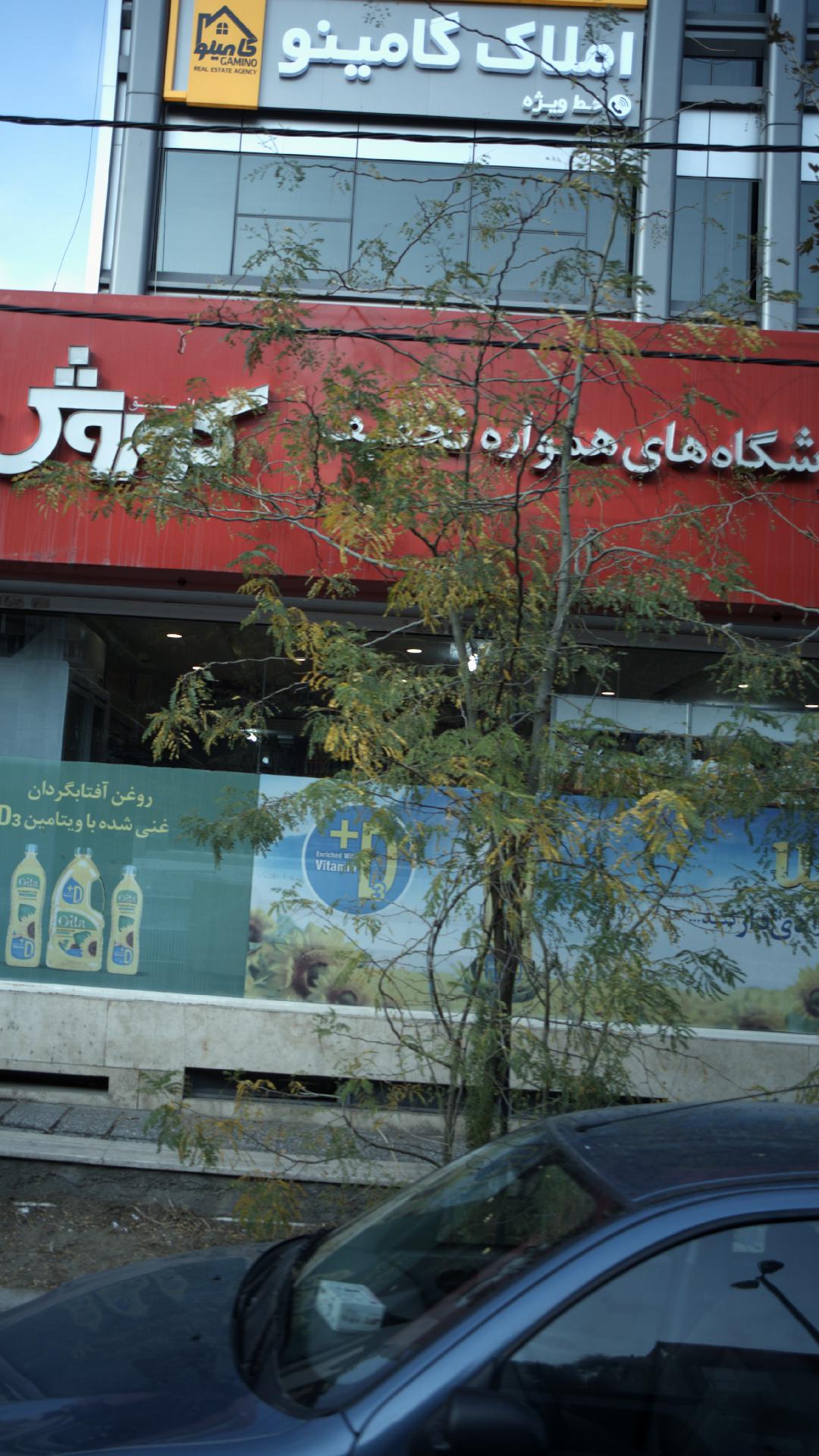کامینو