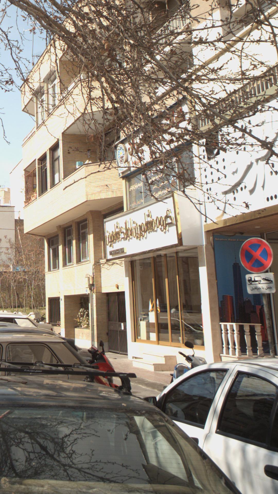 گروه مشاورین شاهین