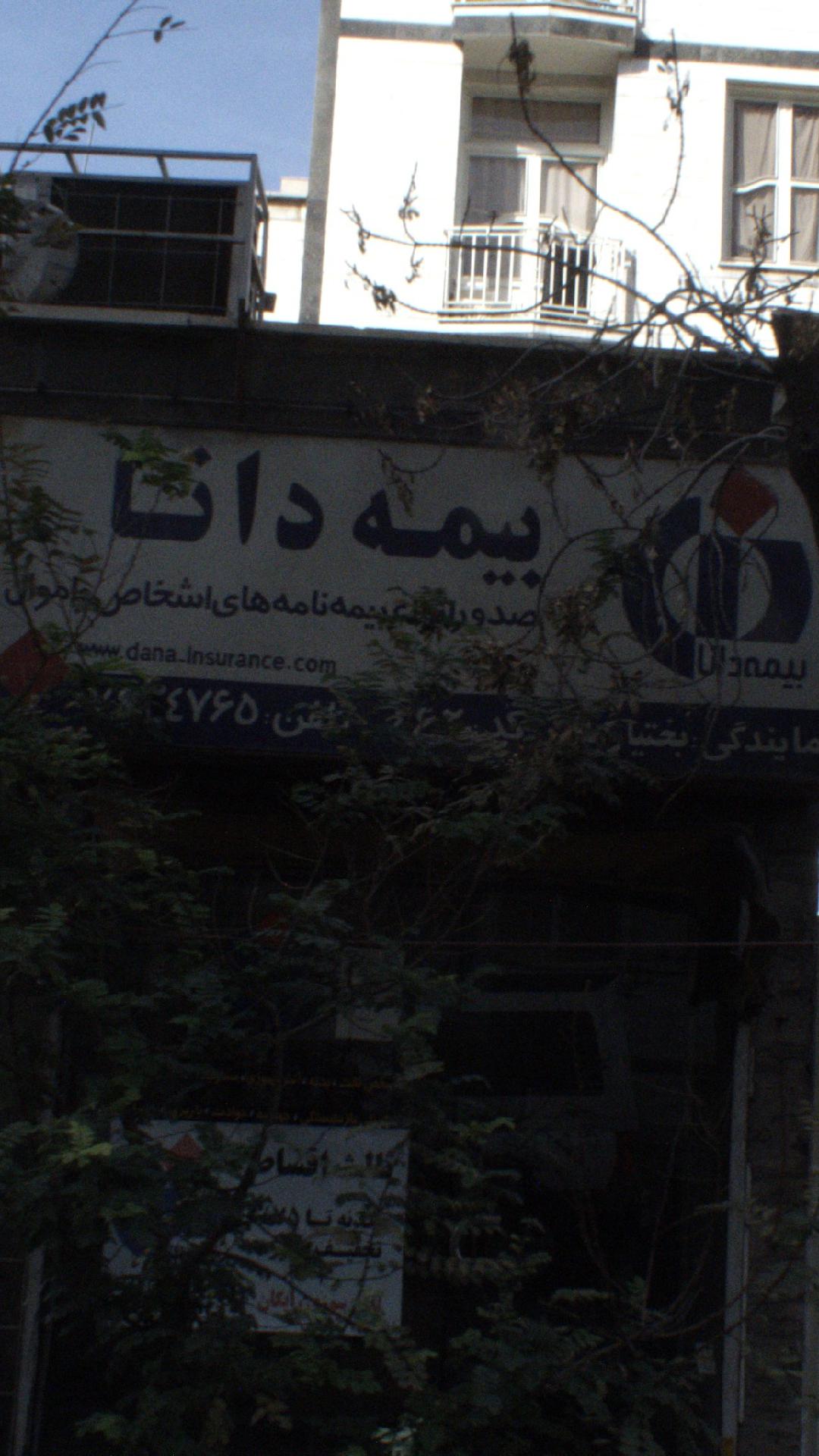 بیمه دانا