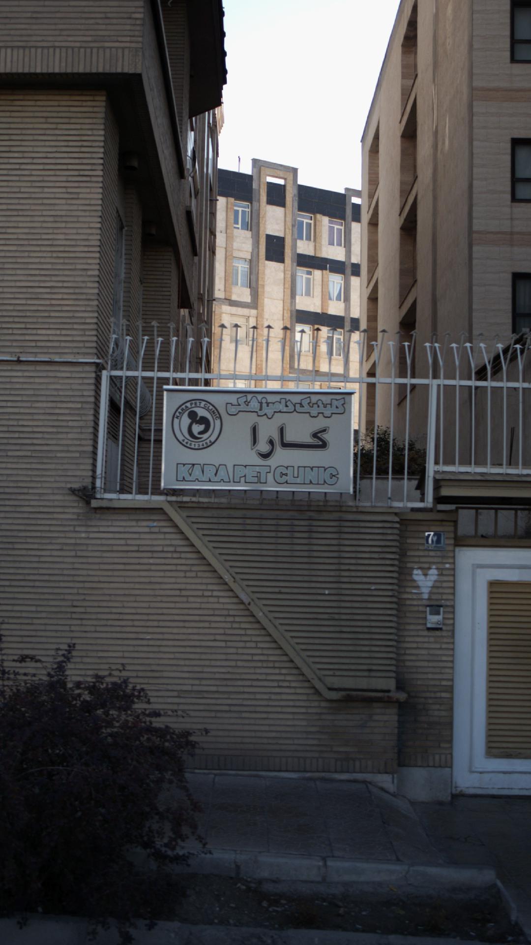کلینیک دامپزشکی کارا