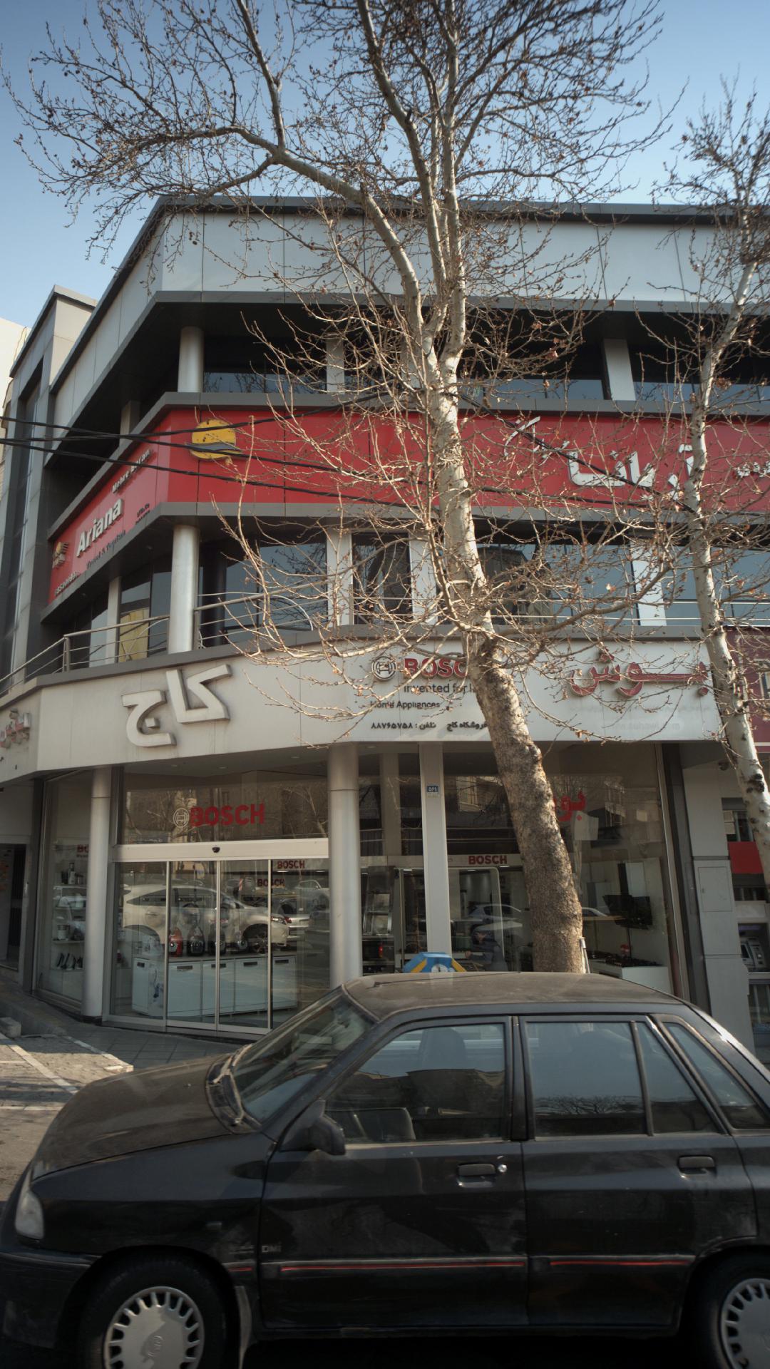 کاج