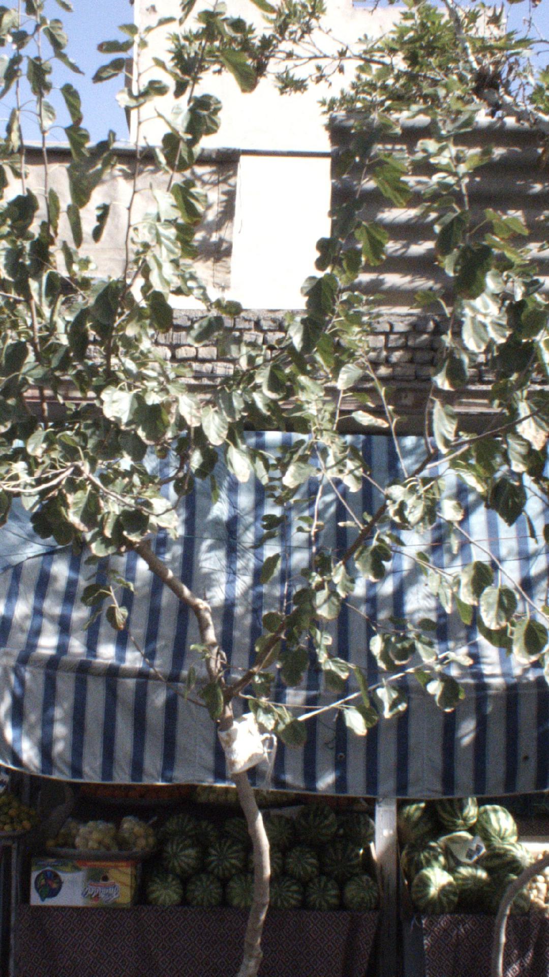 میوه فروشی