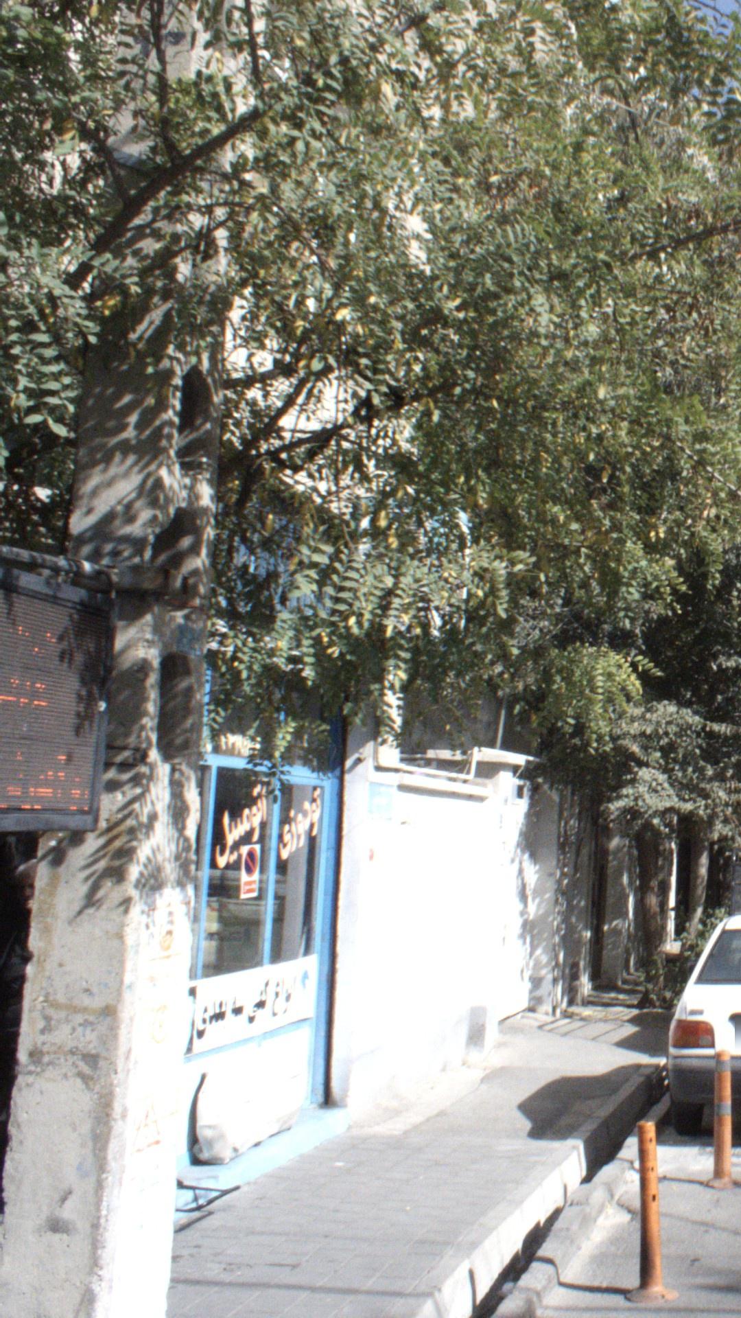 تودوزی اتومبیل