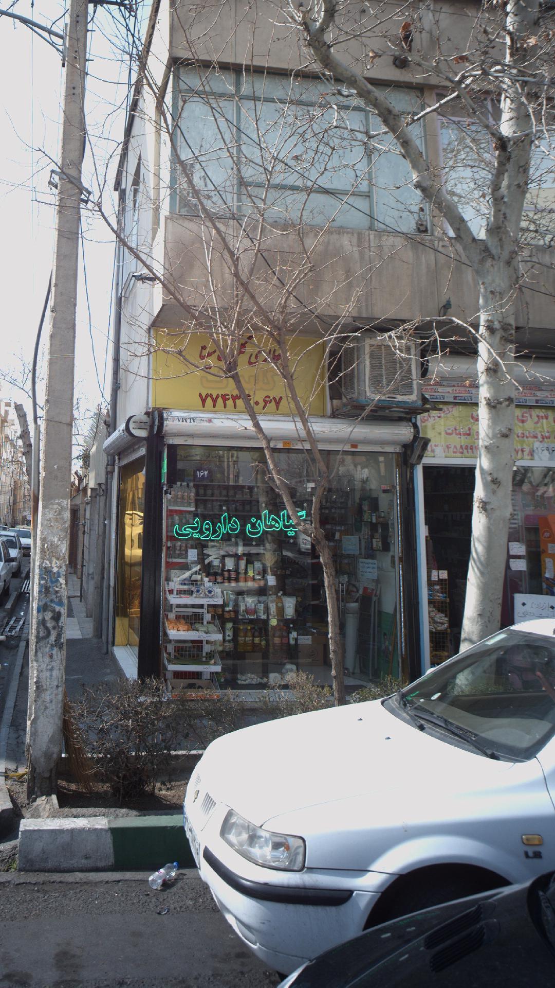 گلبرگ سینا