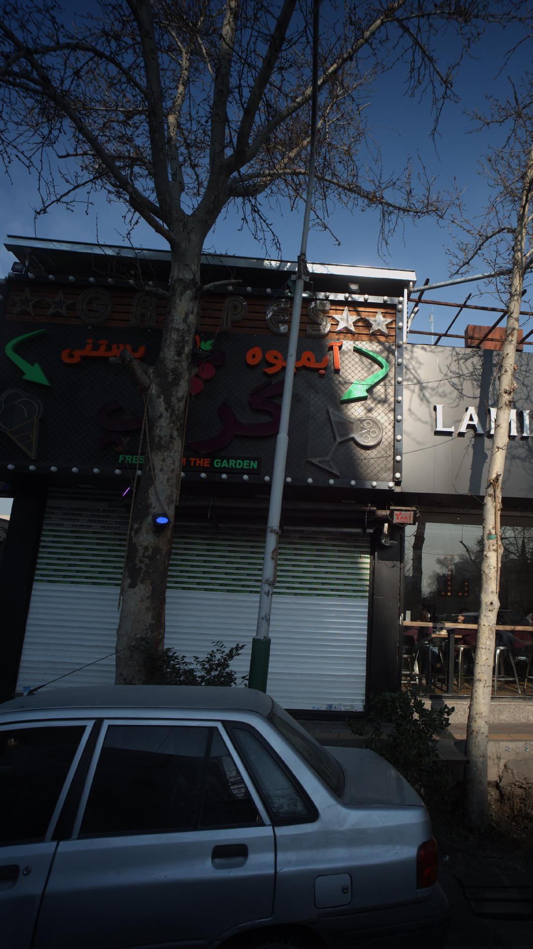 آبمیوه بستنی گریپ