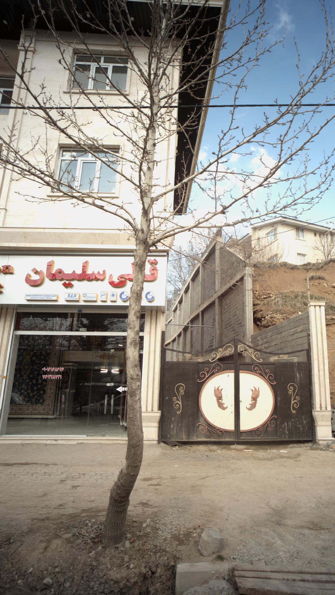 قالی سلیمان