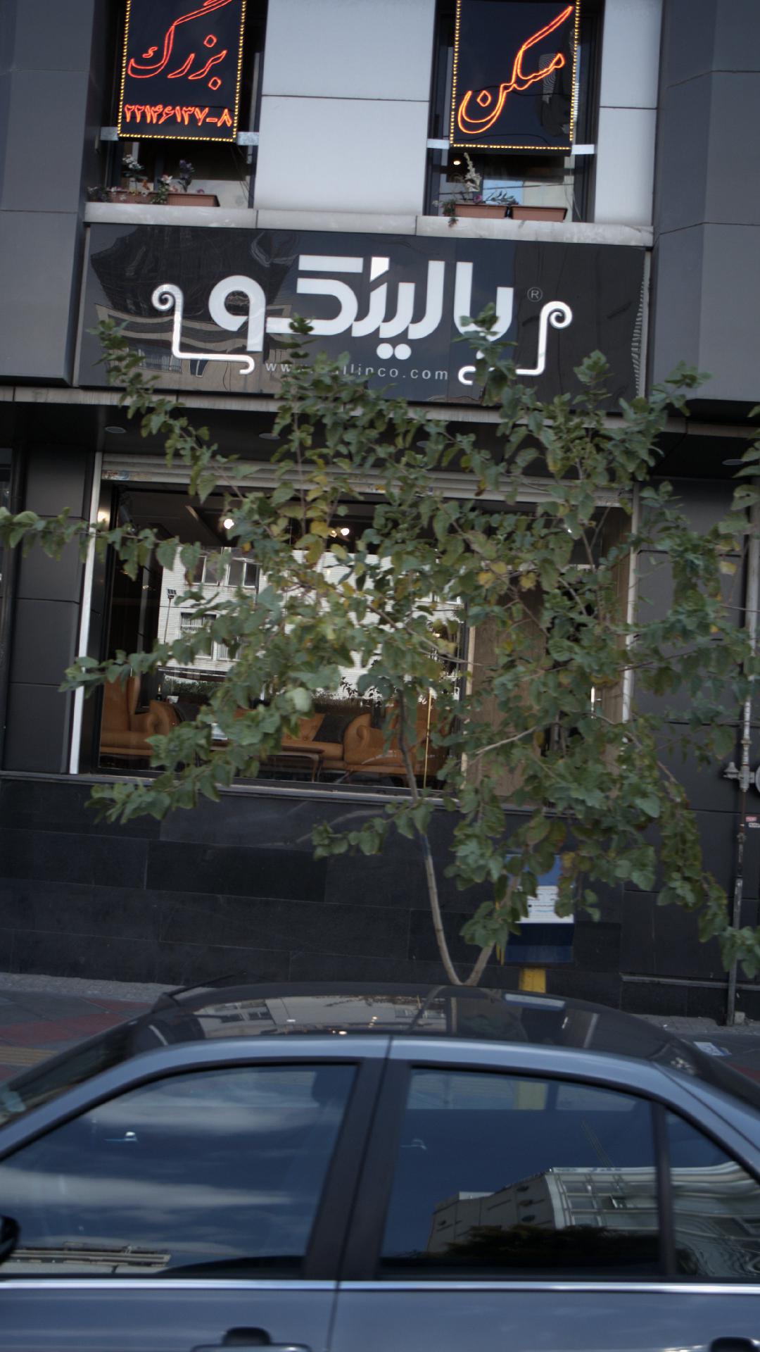 مسکن بزرگ