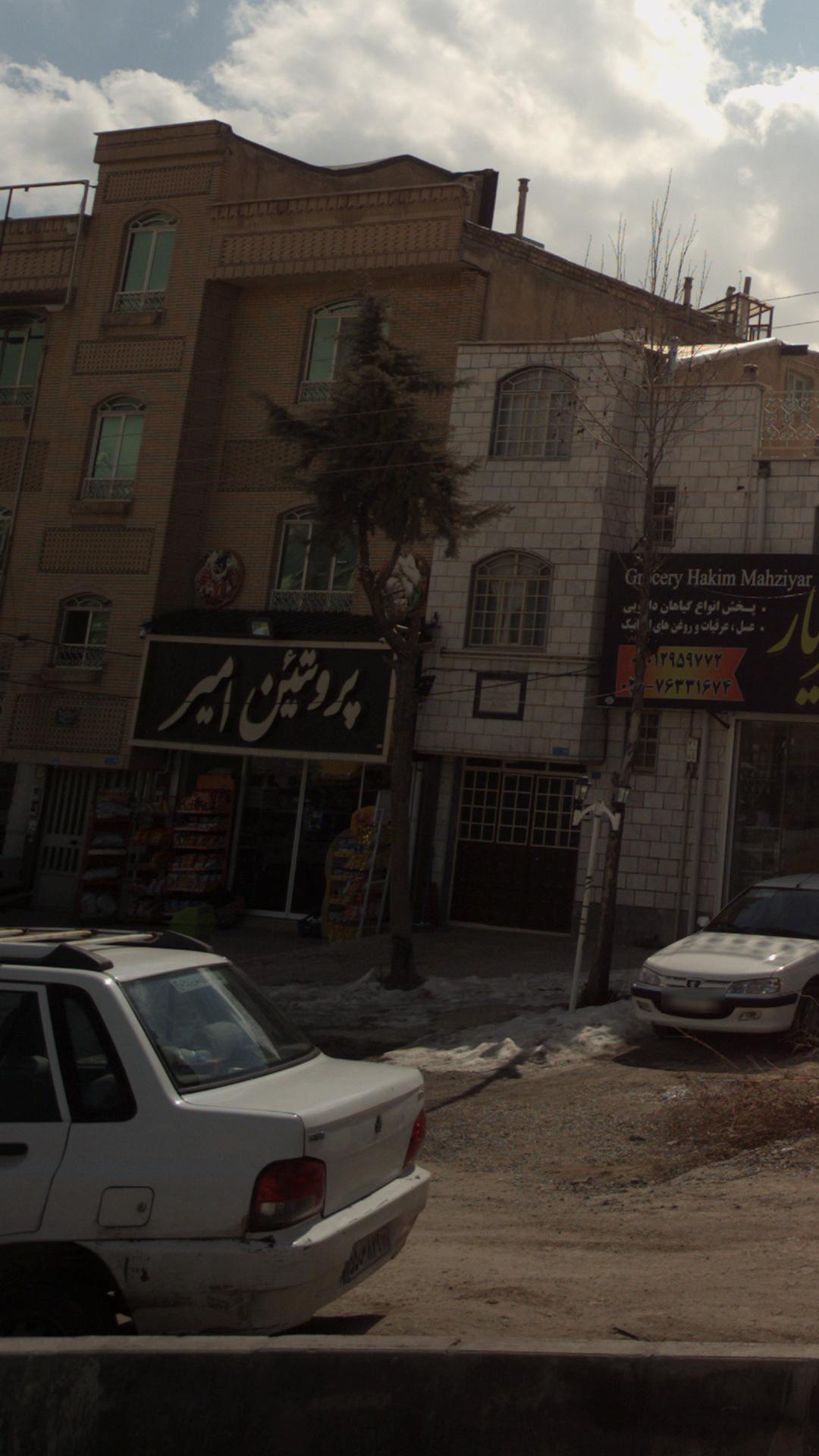 پروتئین امیر