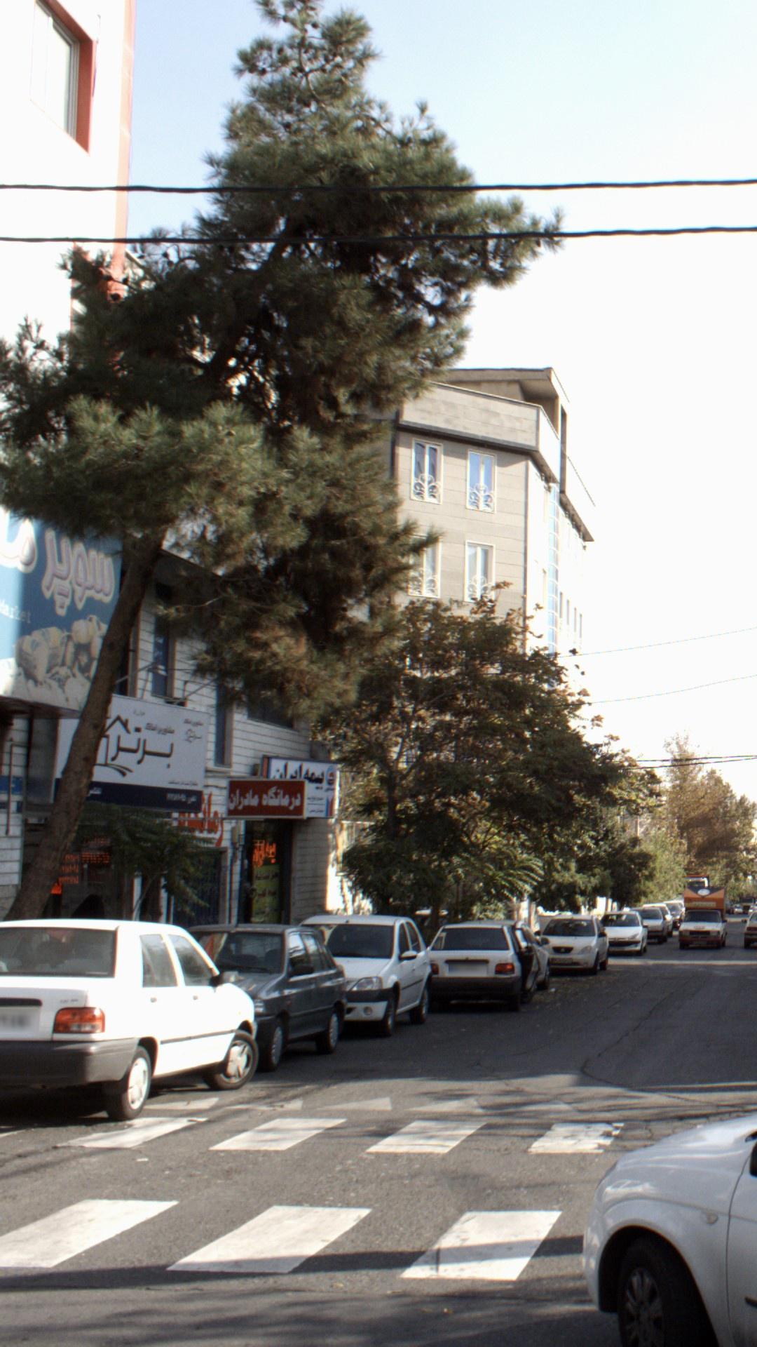 مشاور املاک برتر