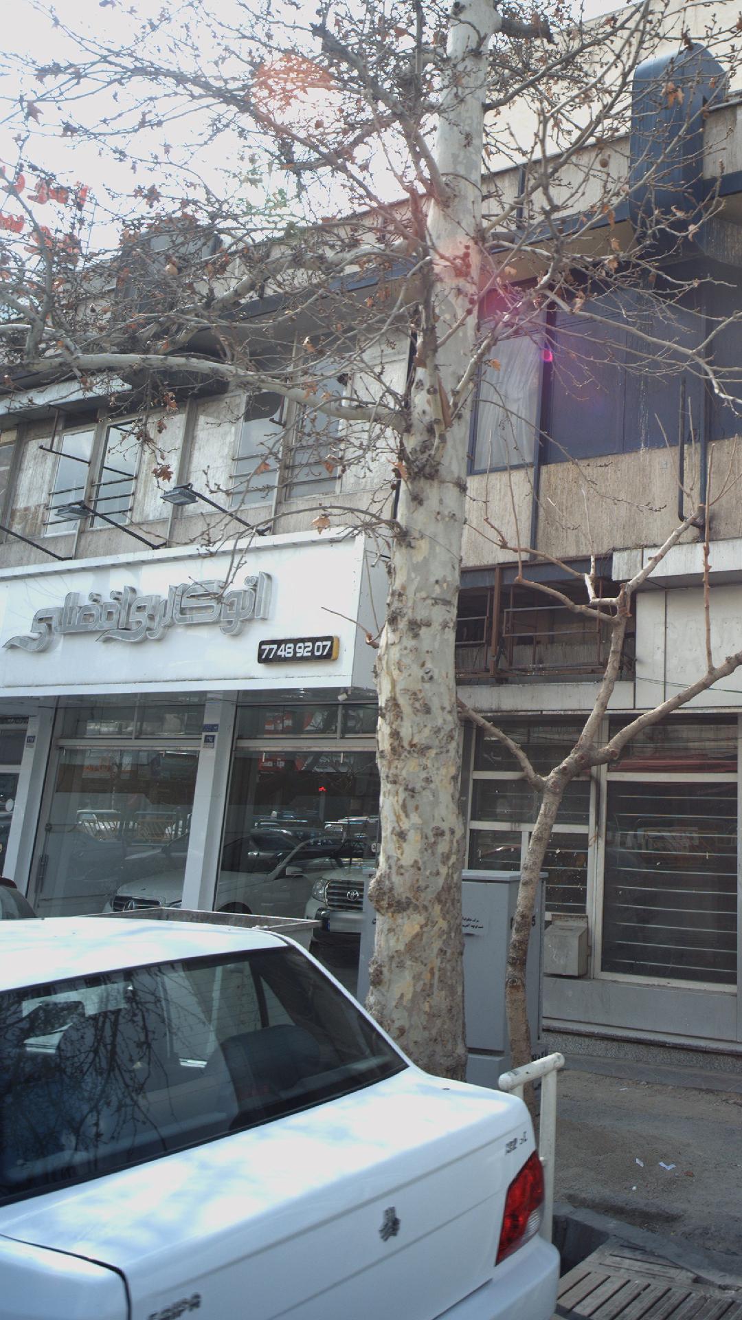 اتو گالری افضلی